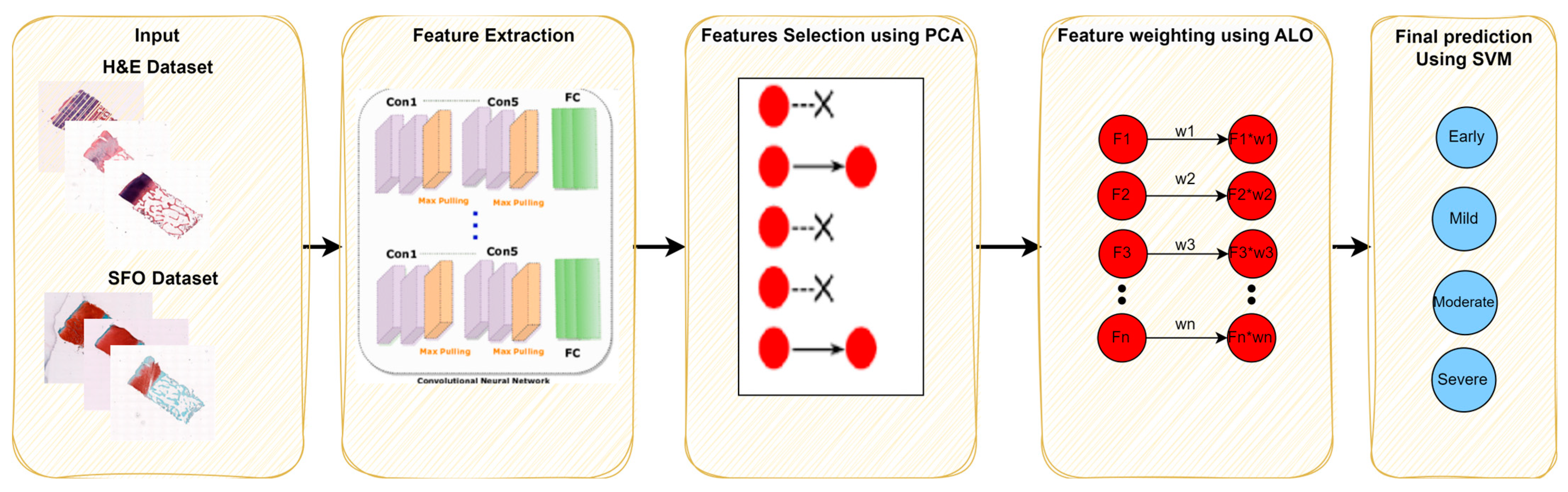 Bioengineering 10 00764 g001 Bioengineering 10 00764 g001