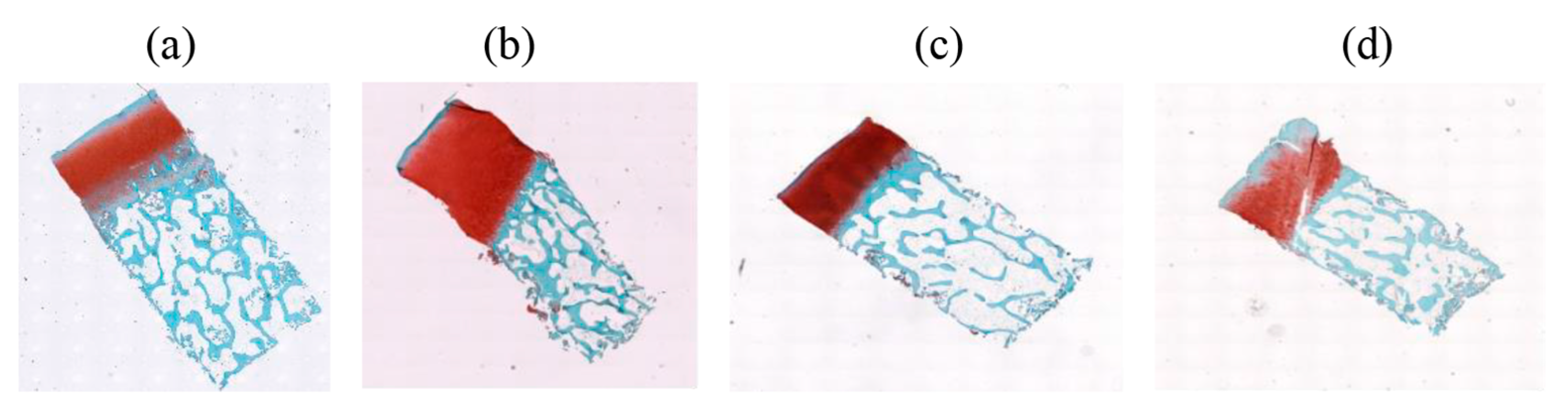 Bioengineering 10 00764 g003 Bioengineering 10 00764 g003