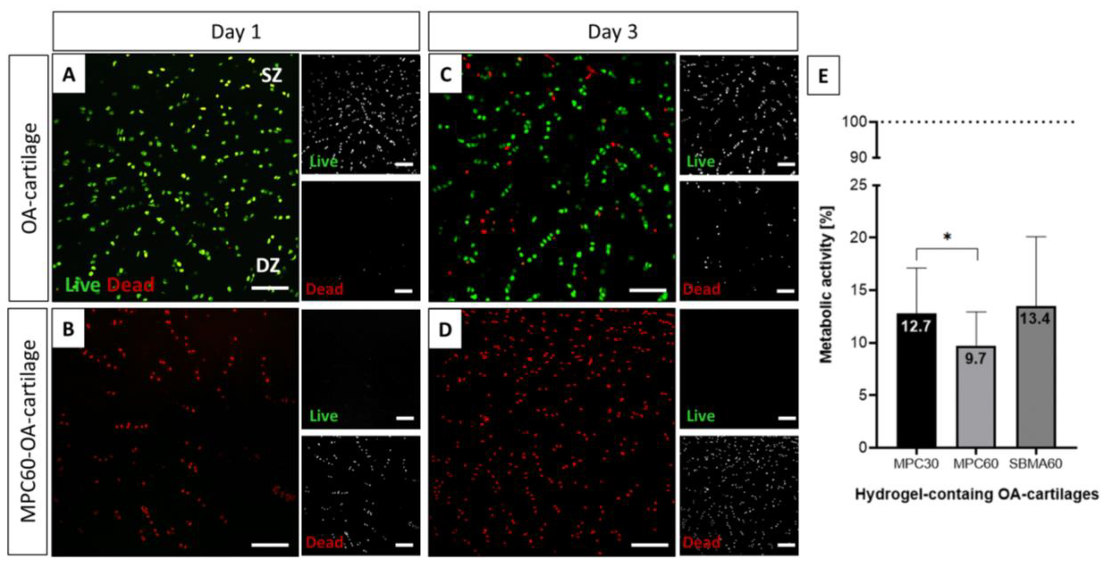 Bioengineering 10 00767 g005 Bioengineering 10 00767 g005