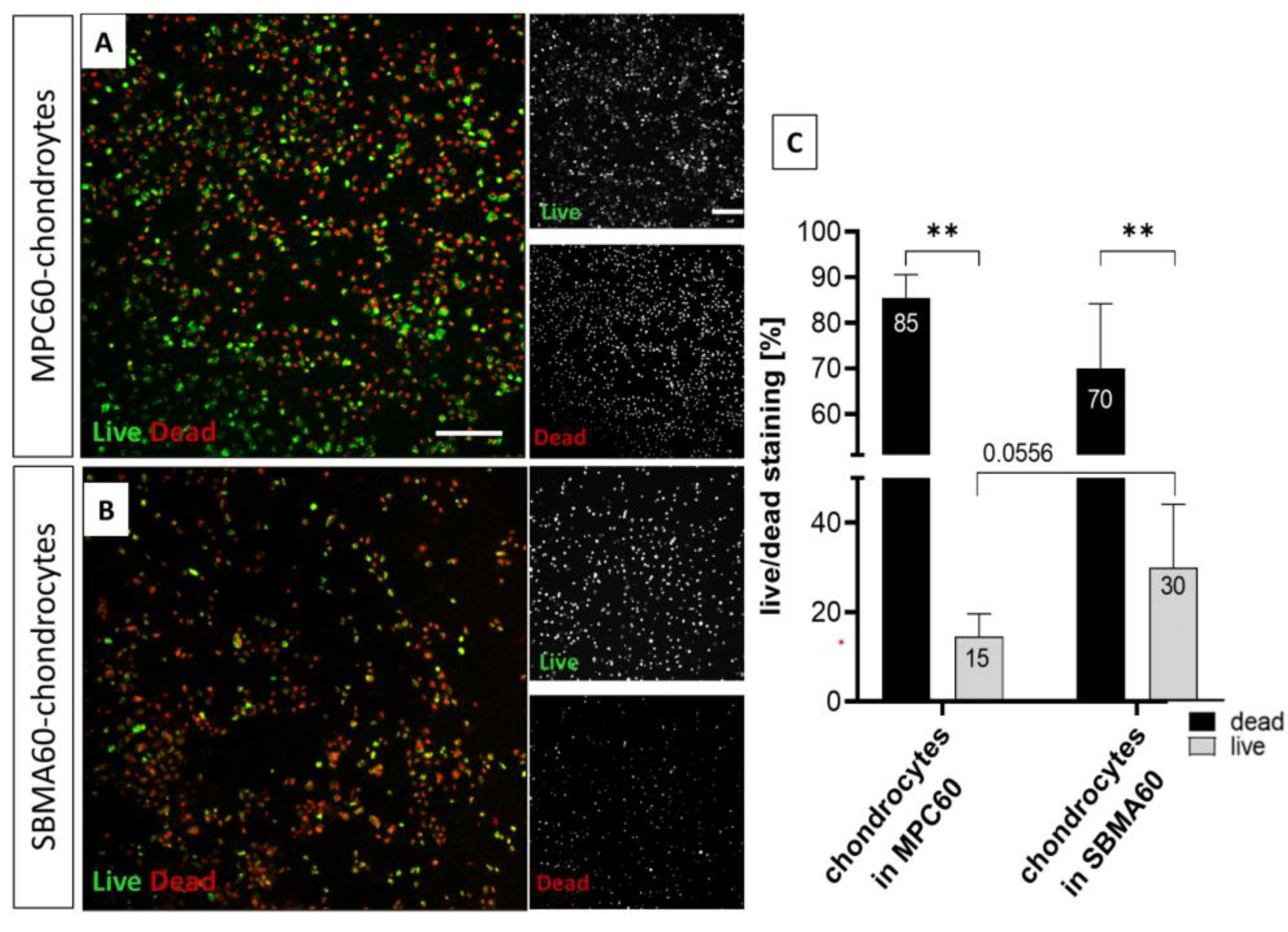 Bioengineering 10 00767 g006 Bioengineering 10 00767 g006