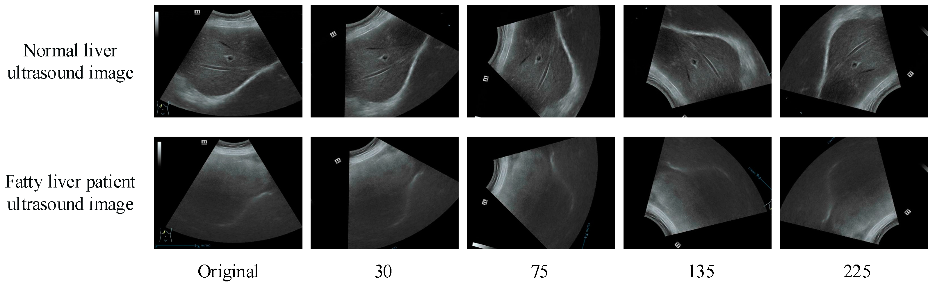 Bioengineering 10 00768 g002