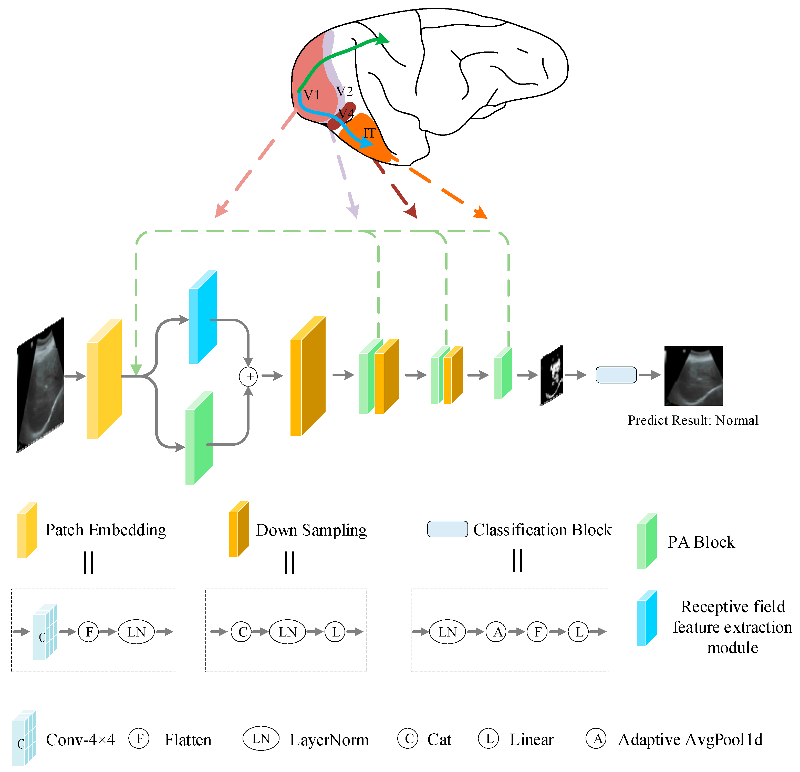 Bioengineering 10 00768 g003