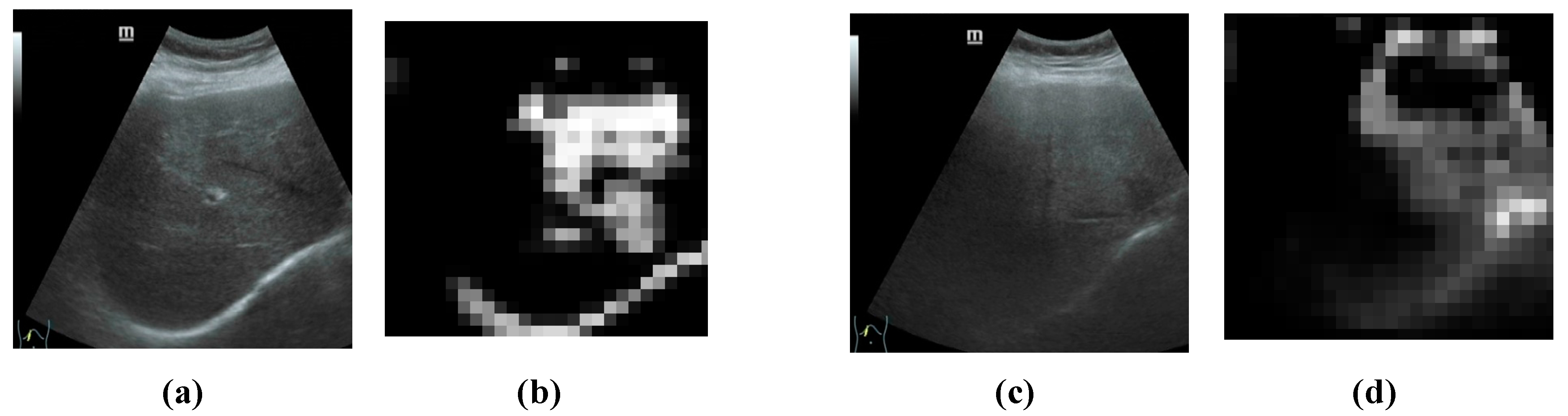 Bioengineering 10 00768 g008