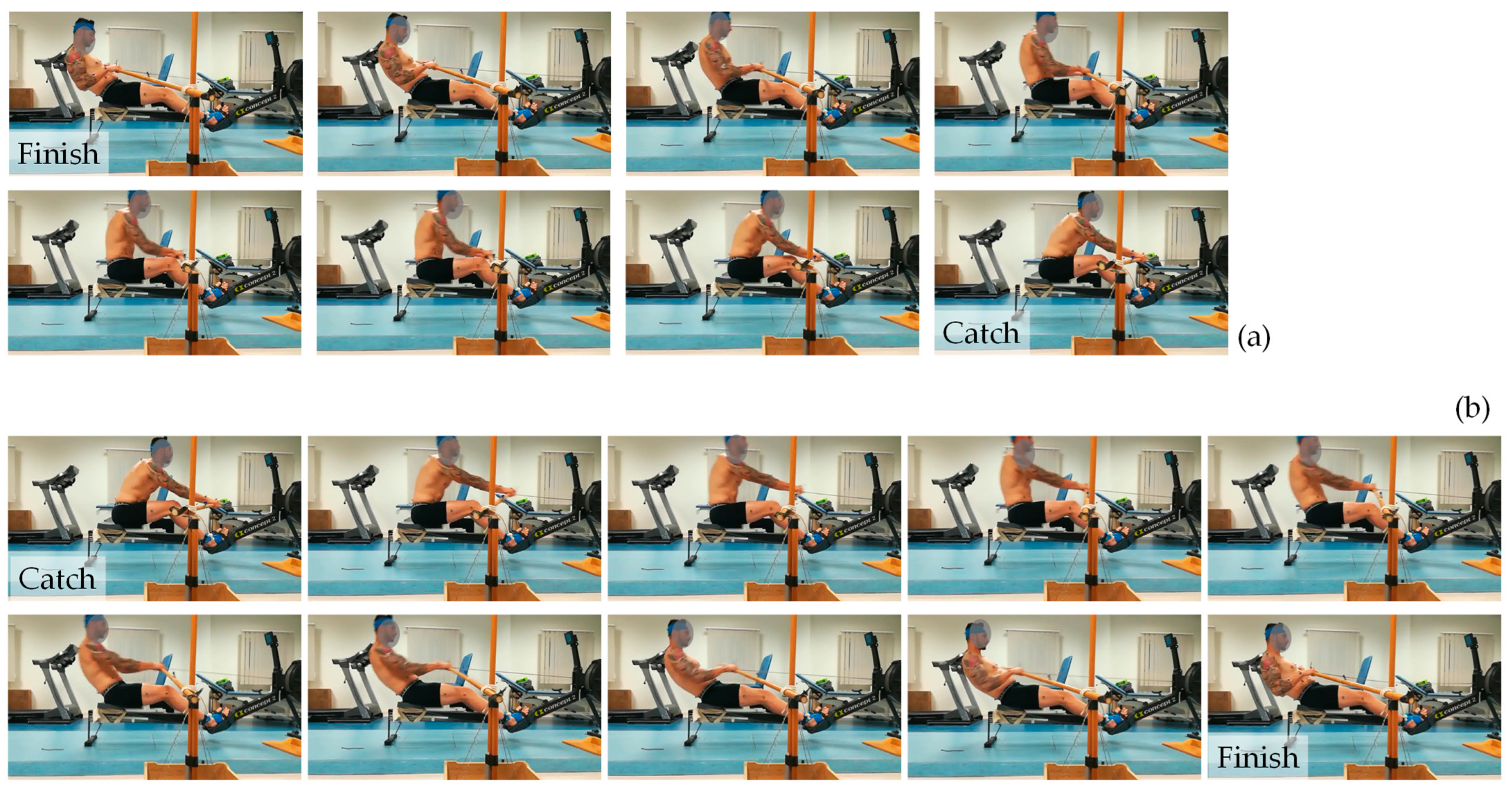 Bioengineering 10 00774 g002