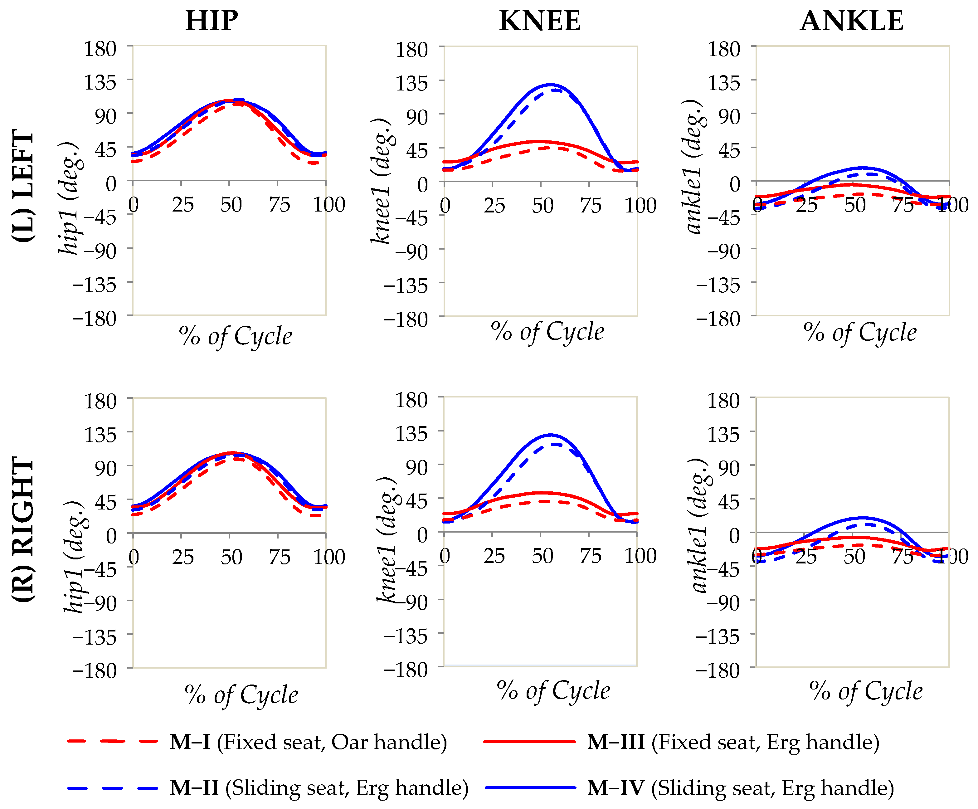 Bioengineering 10 00774 g004