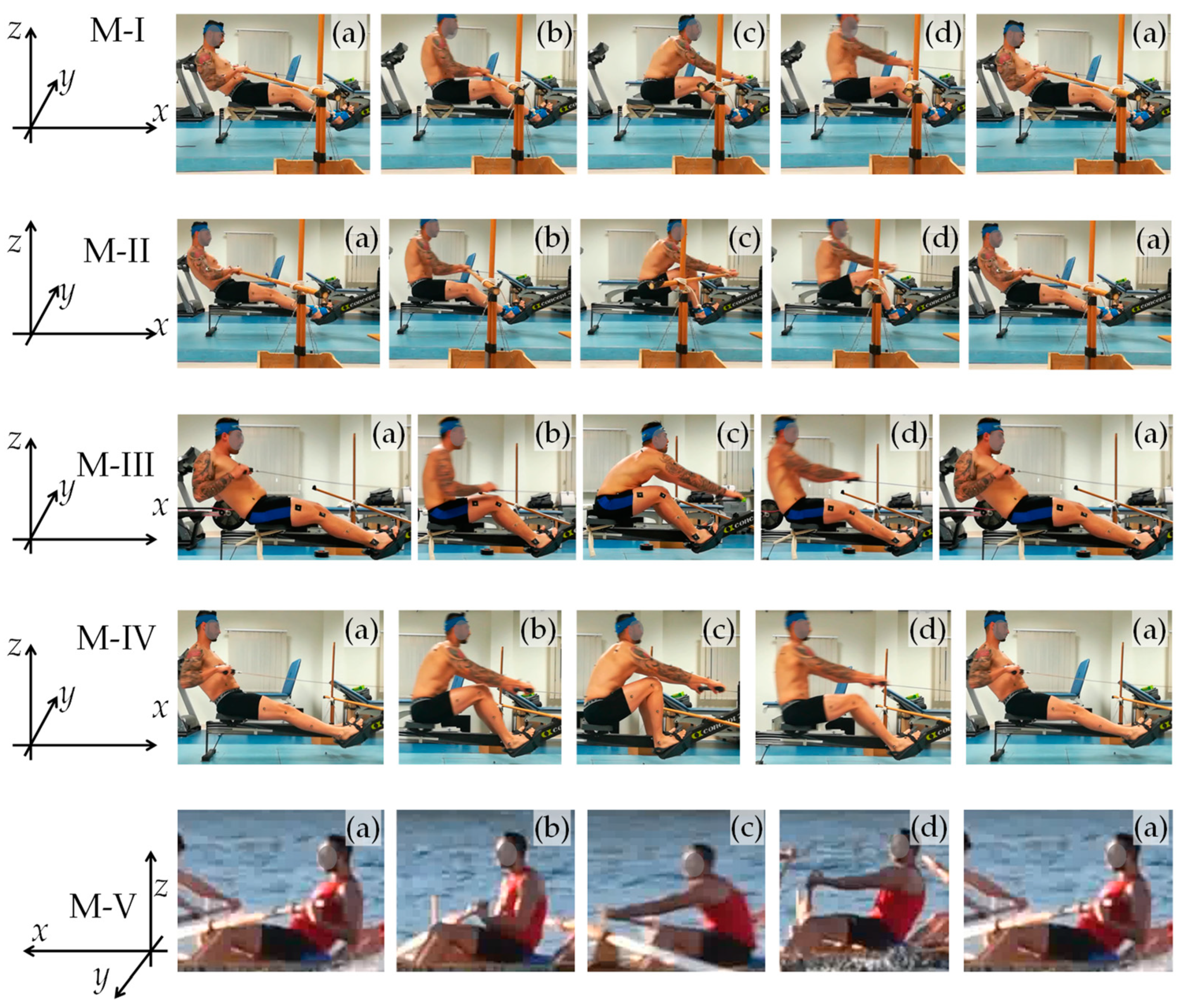 Bioengineering 10 00774 g006