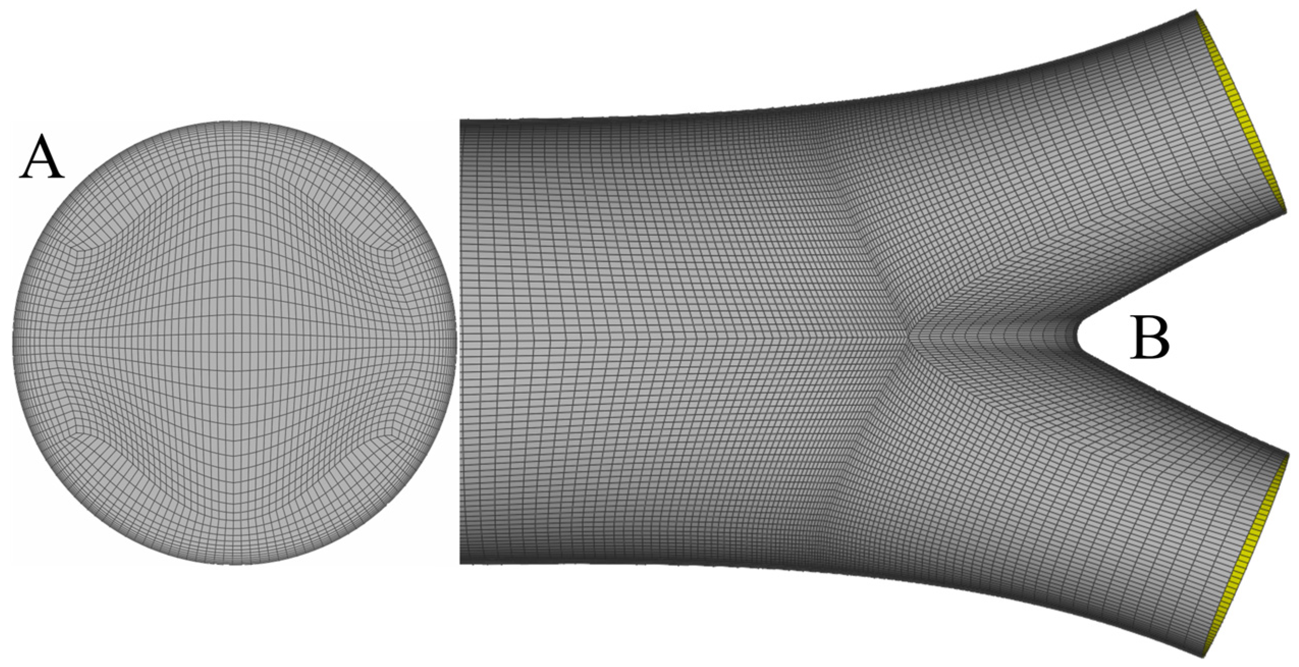 Bioengineering 10 00776 g005