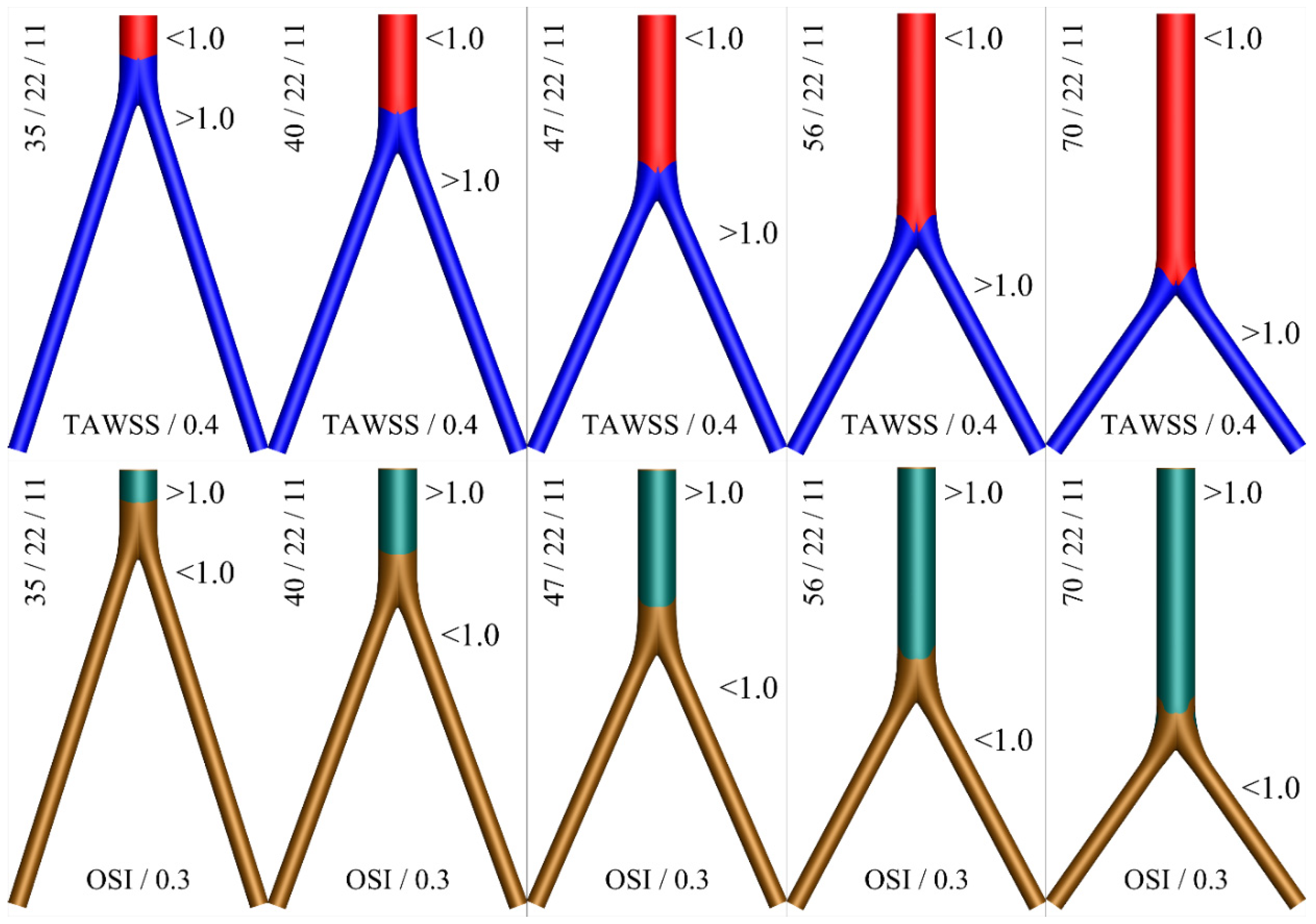 Bioengineering 10 00776 g011