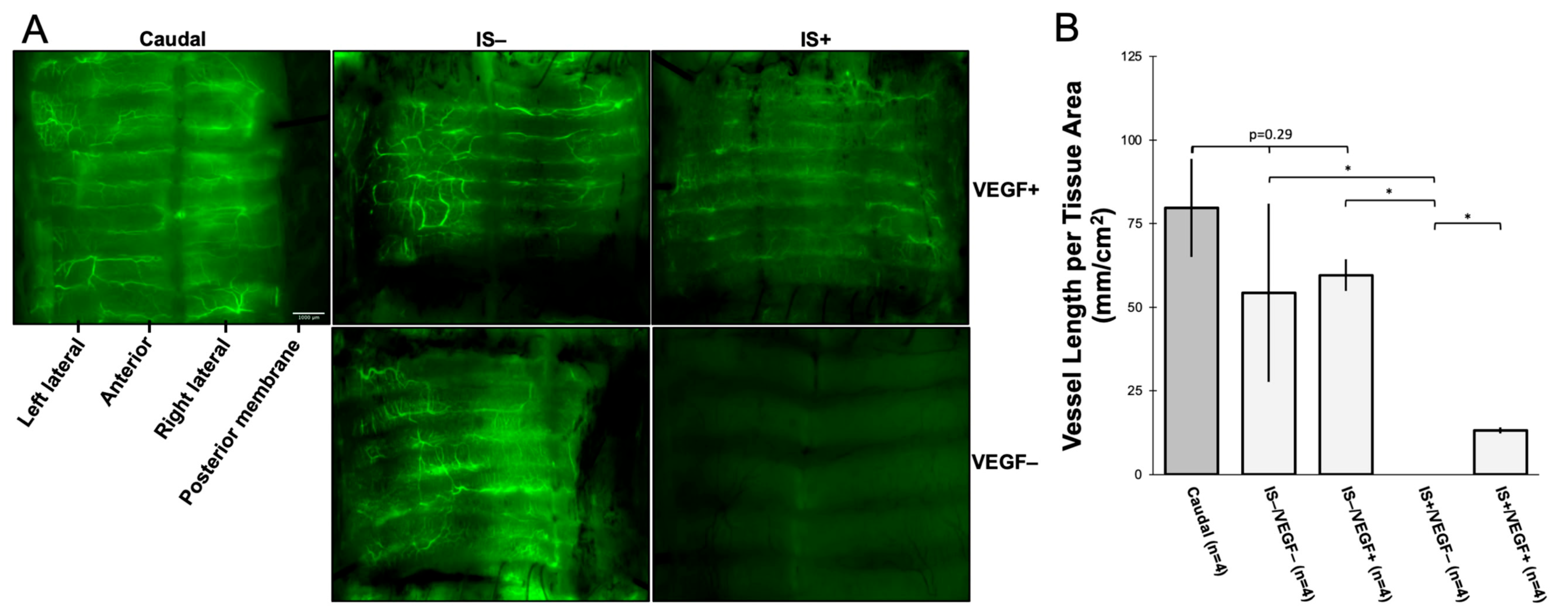 Bioengineering 10 00777 g003 Bioengineering 10 00777 g003