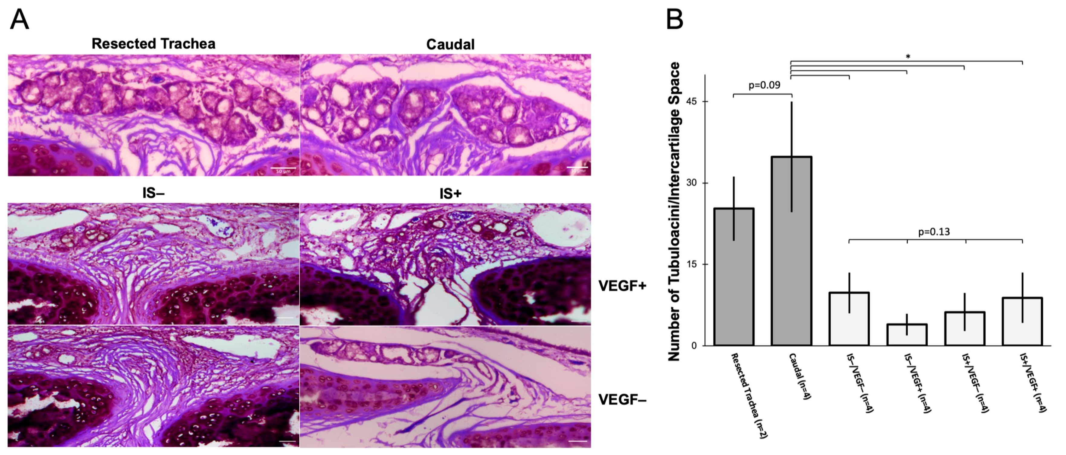Bioengineering 10 00777 g005 Bioengineering 10 00777 g005