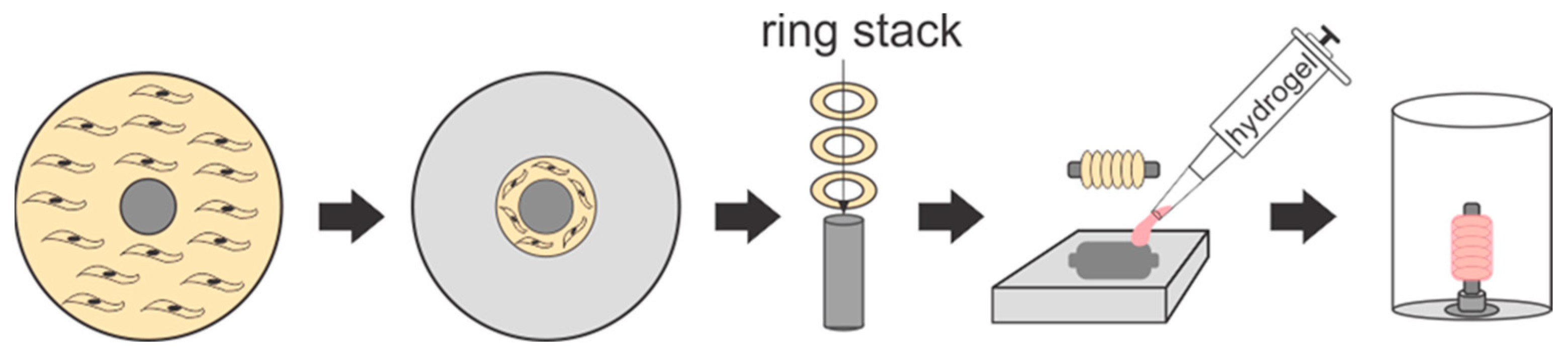 Bioengineering 10 00780 g001 Bioengineering 10 00780 g001