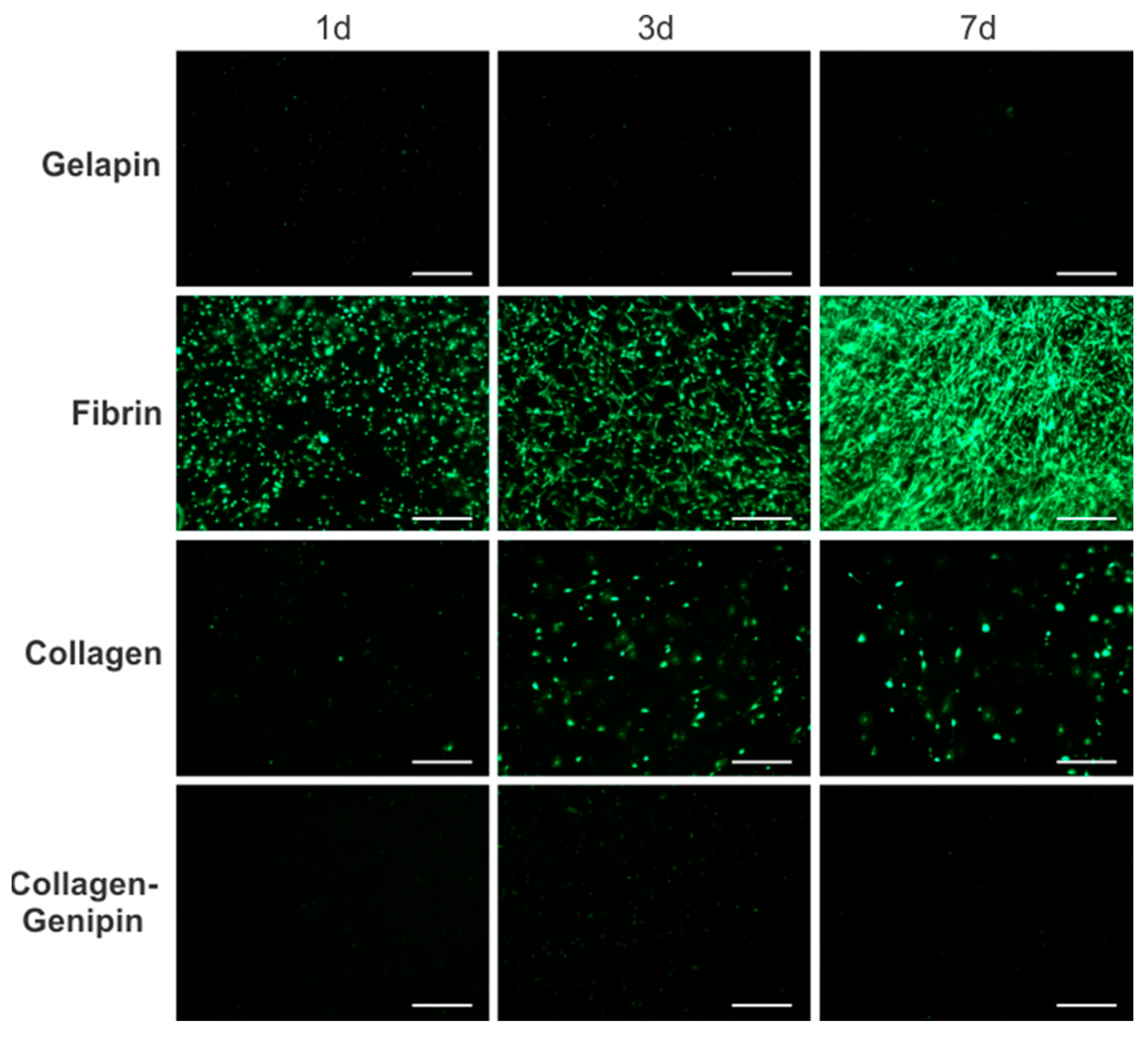 Bioengineering 10 00780 g003 Bioengineering 10 00780 g003