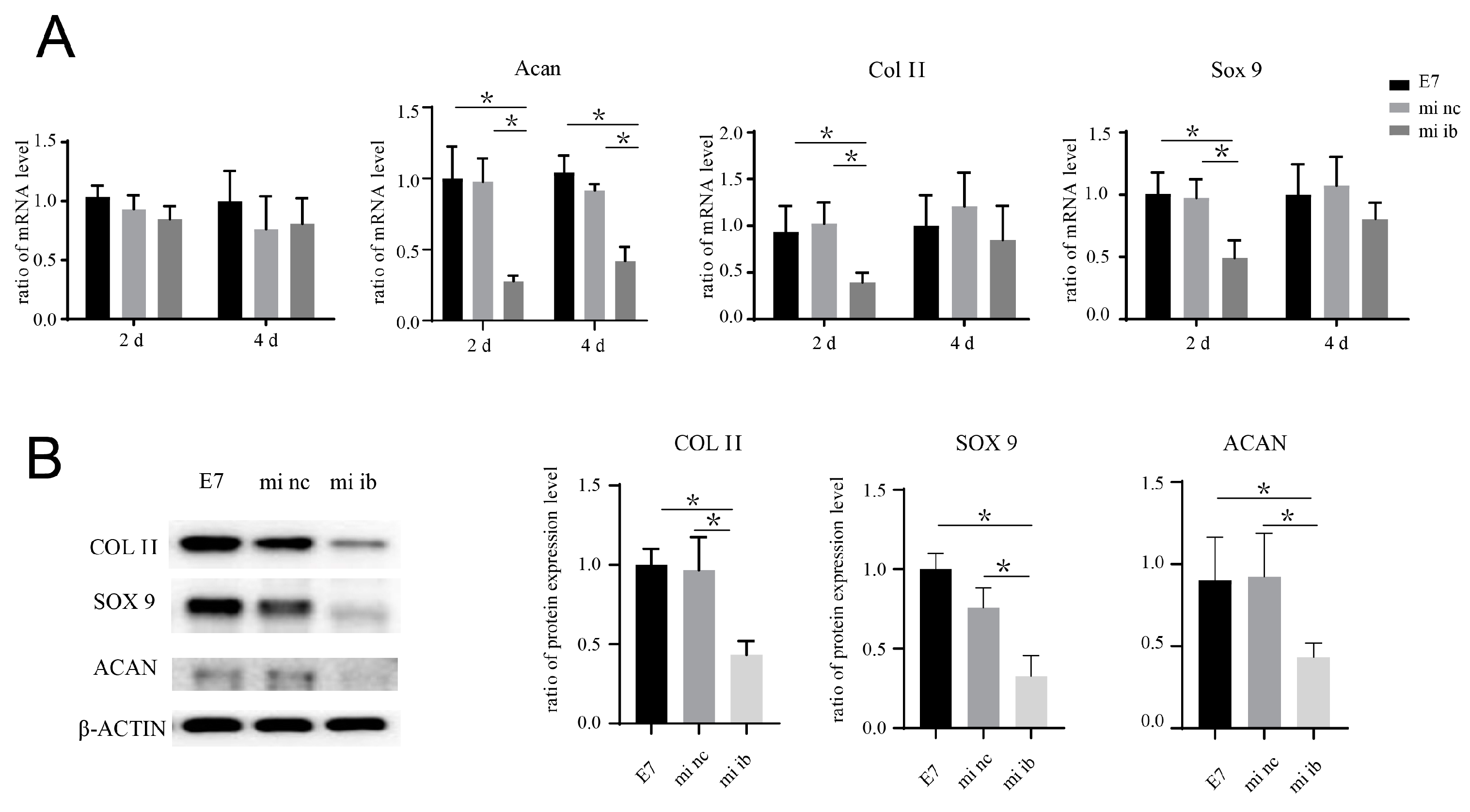 Bioengineering 10 00781 g006