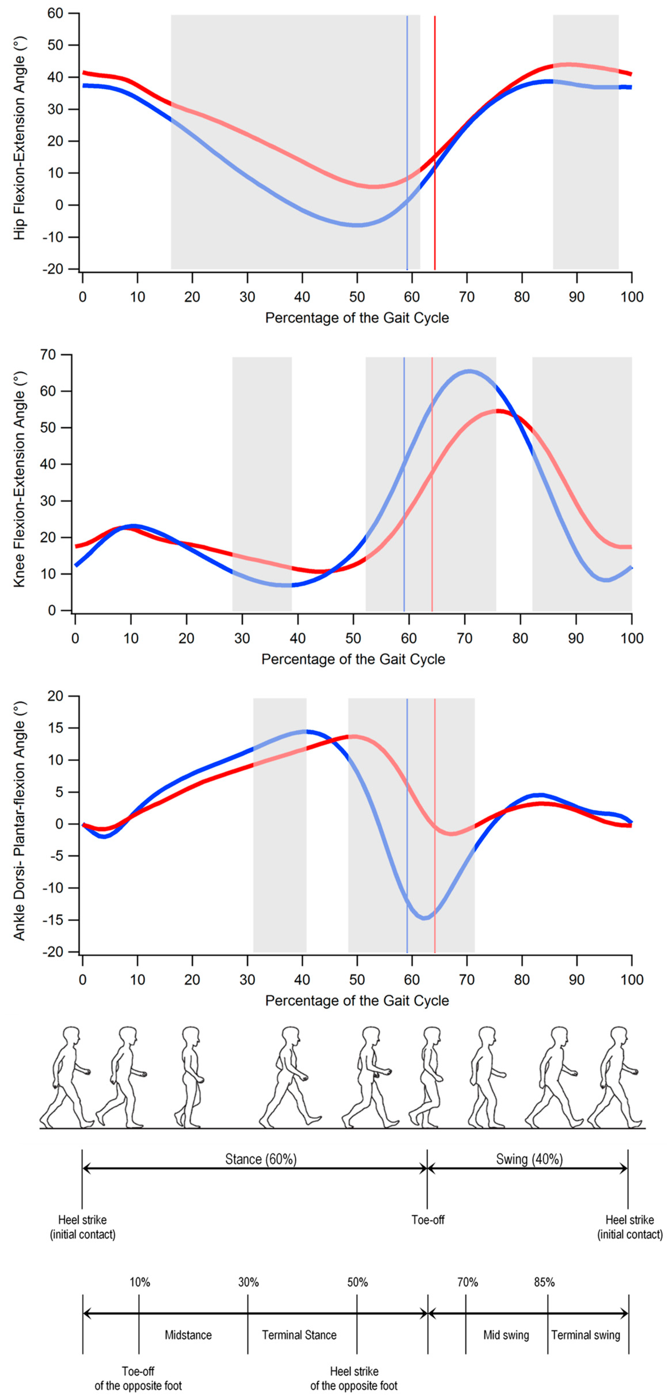 Bioengineering 10 00788 g001