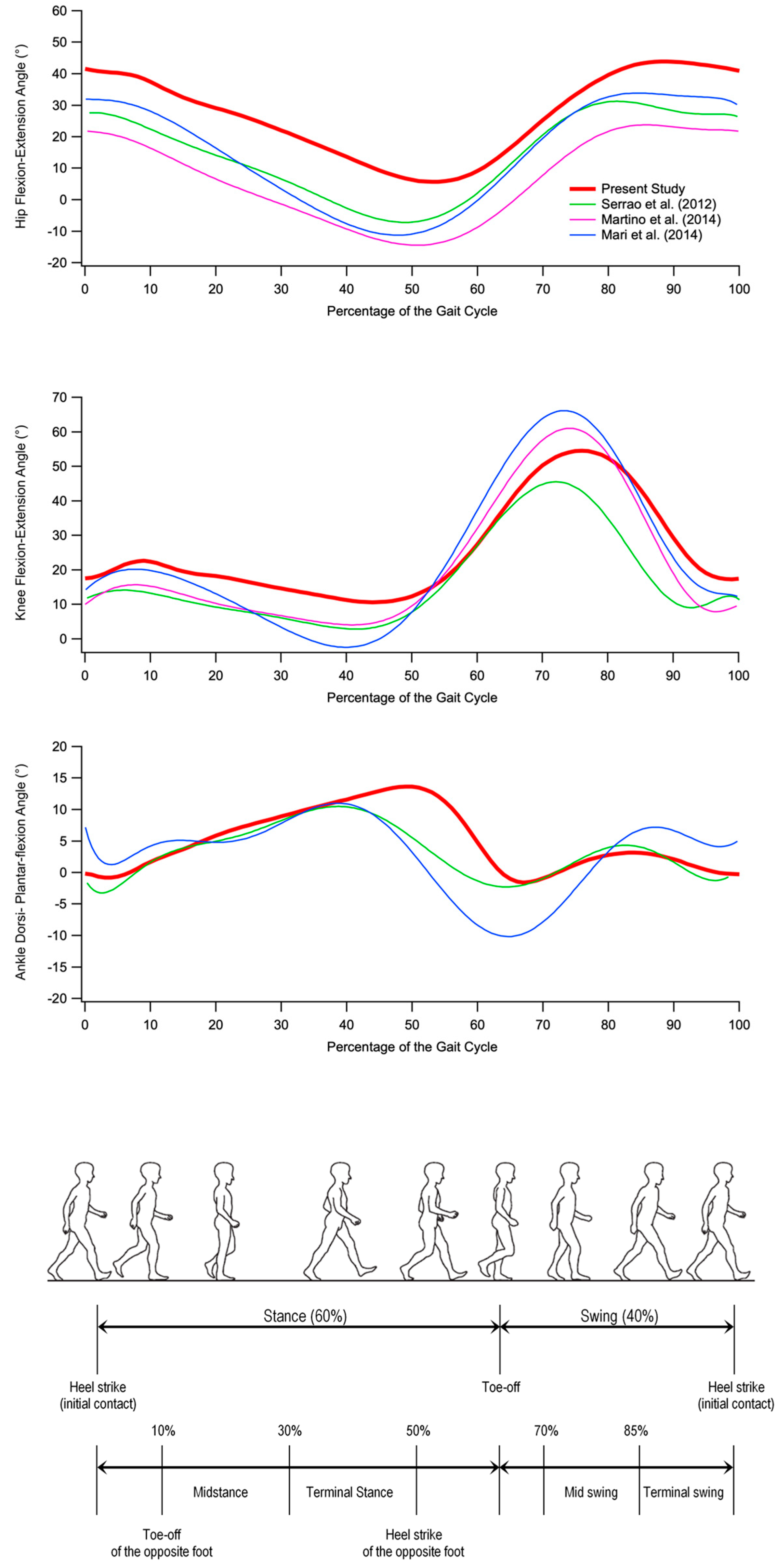 Bioengineering 10 00788 g002