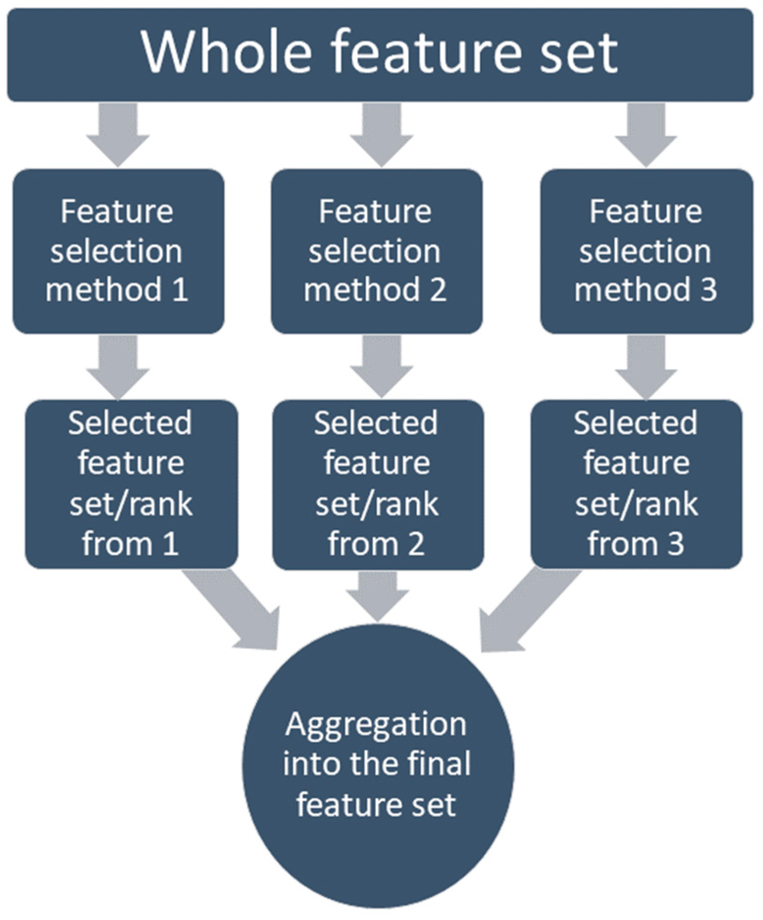 Bioengineering 10 00796 g005