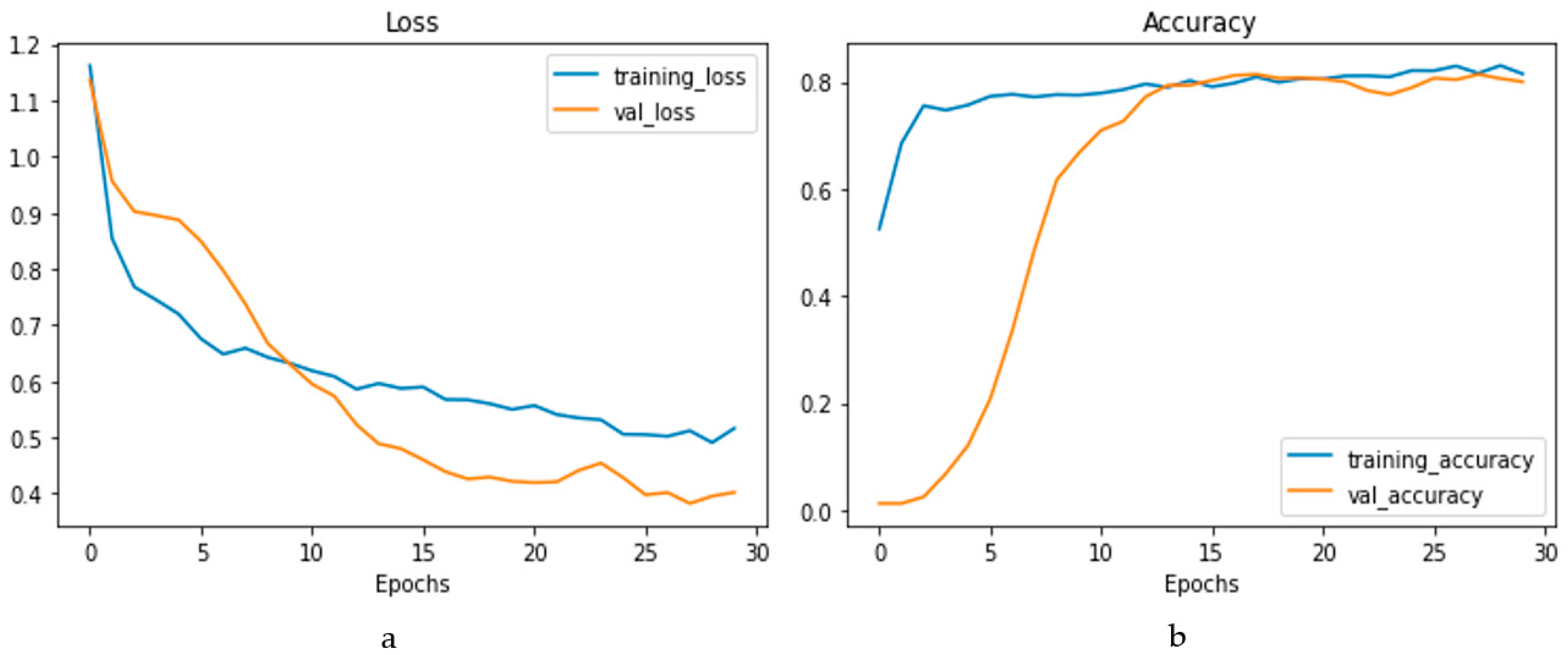 Bioengineering 10 00796 g015