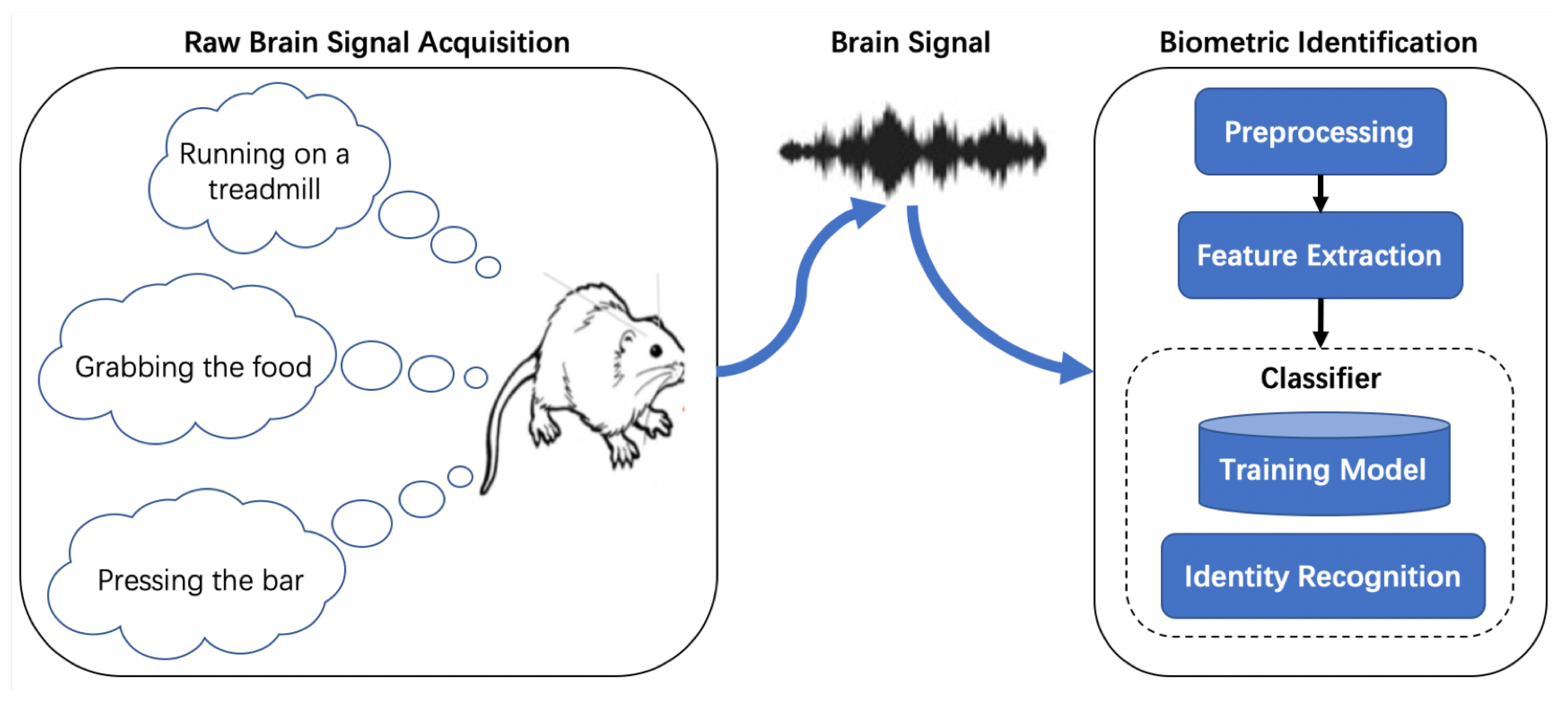 Bioengineering 10 00801 g001