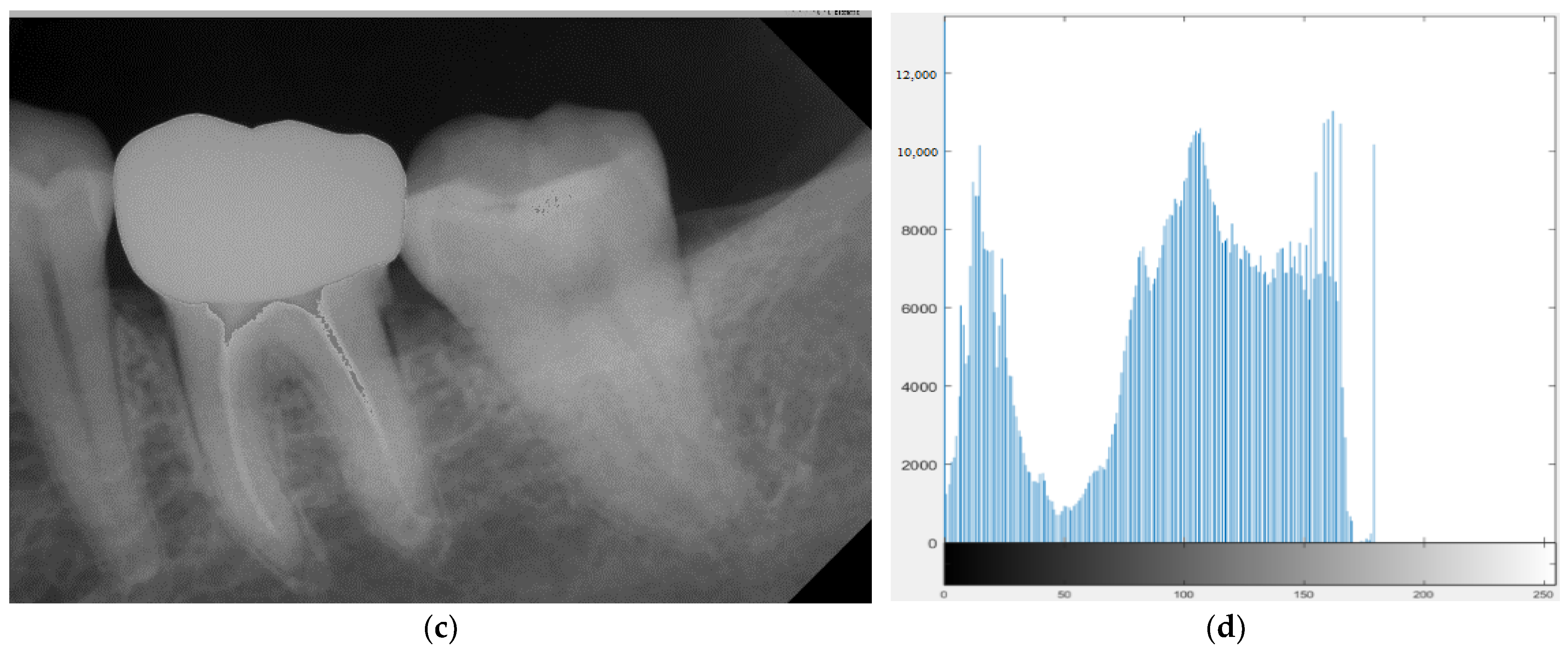 Bioengineering 10 00802 g004b
