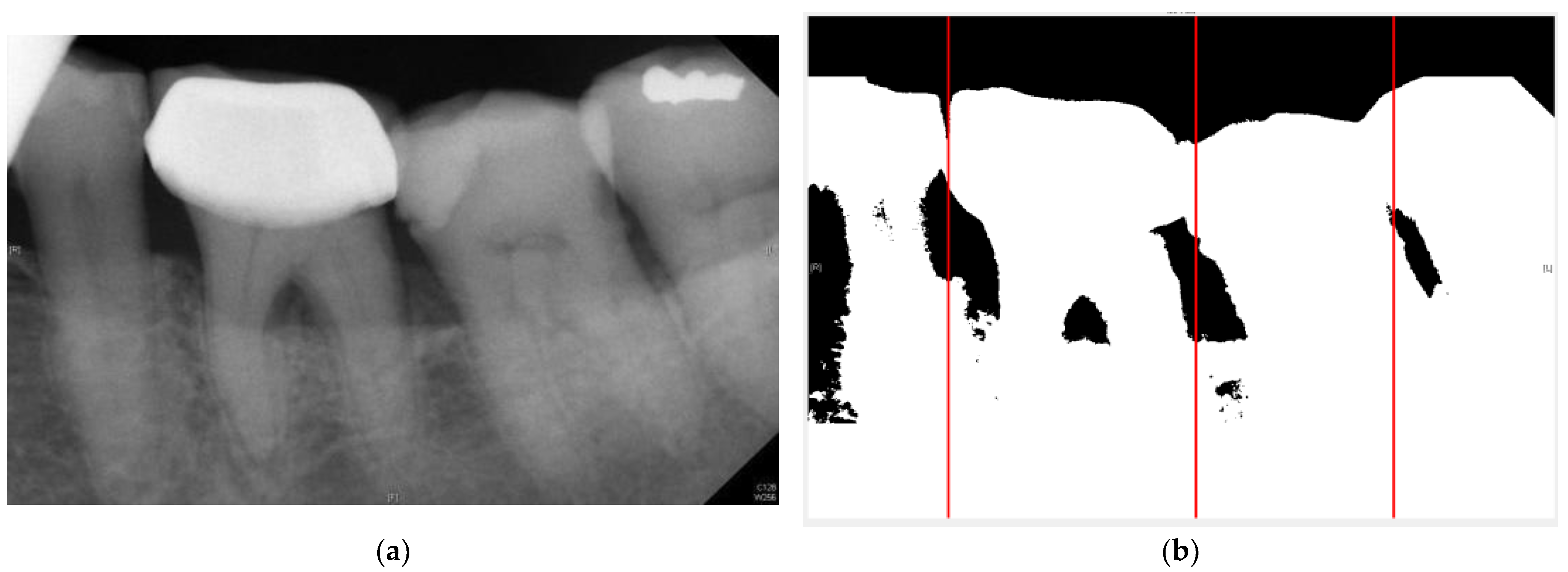 Bioengineering 10 00802 g006