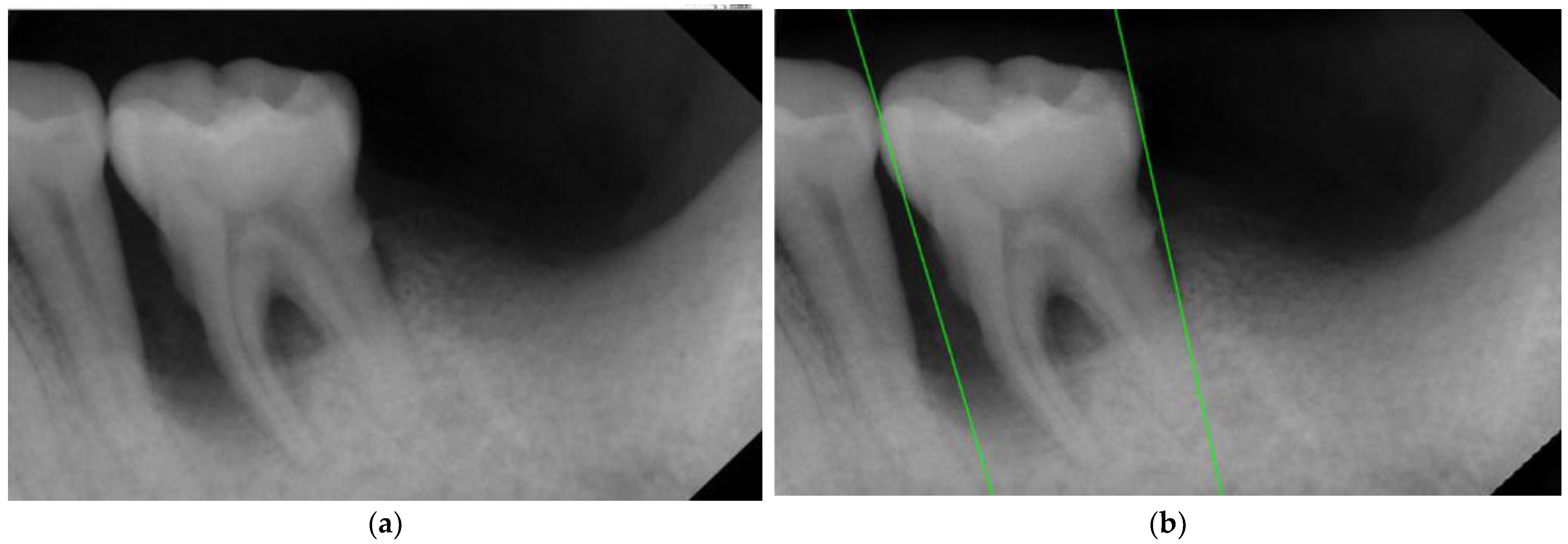 Bioengineering 10 00802 g007