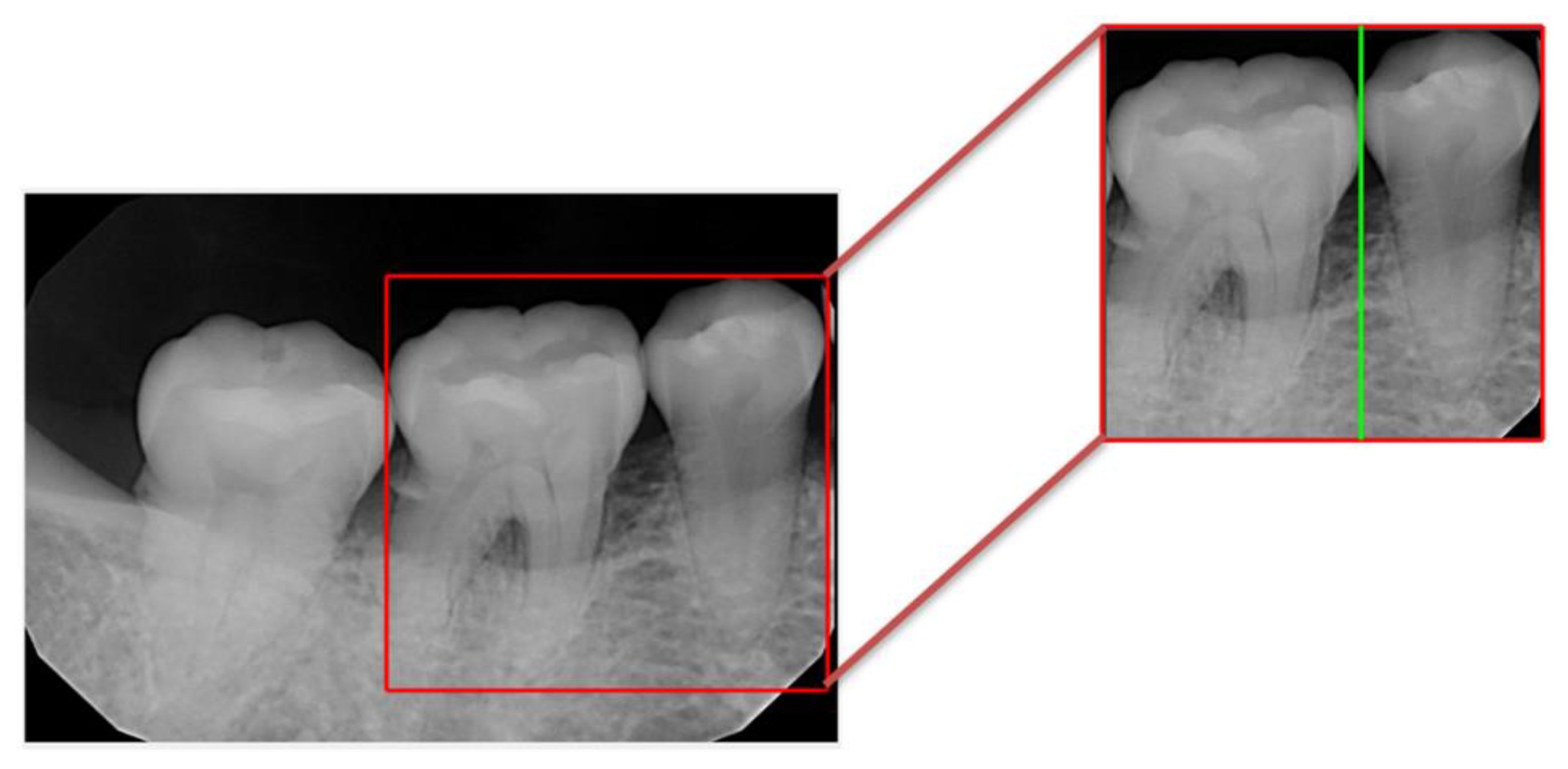 Bioengineering 10 00802 g012