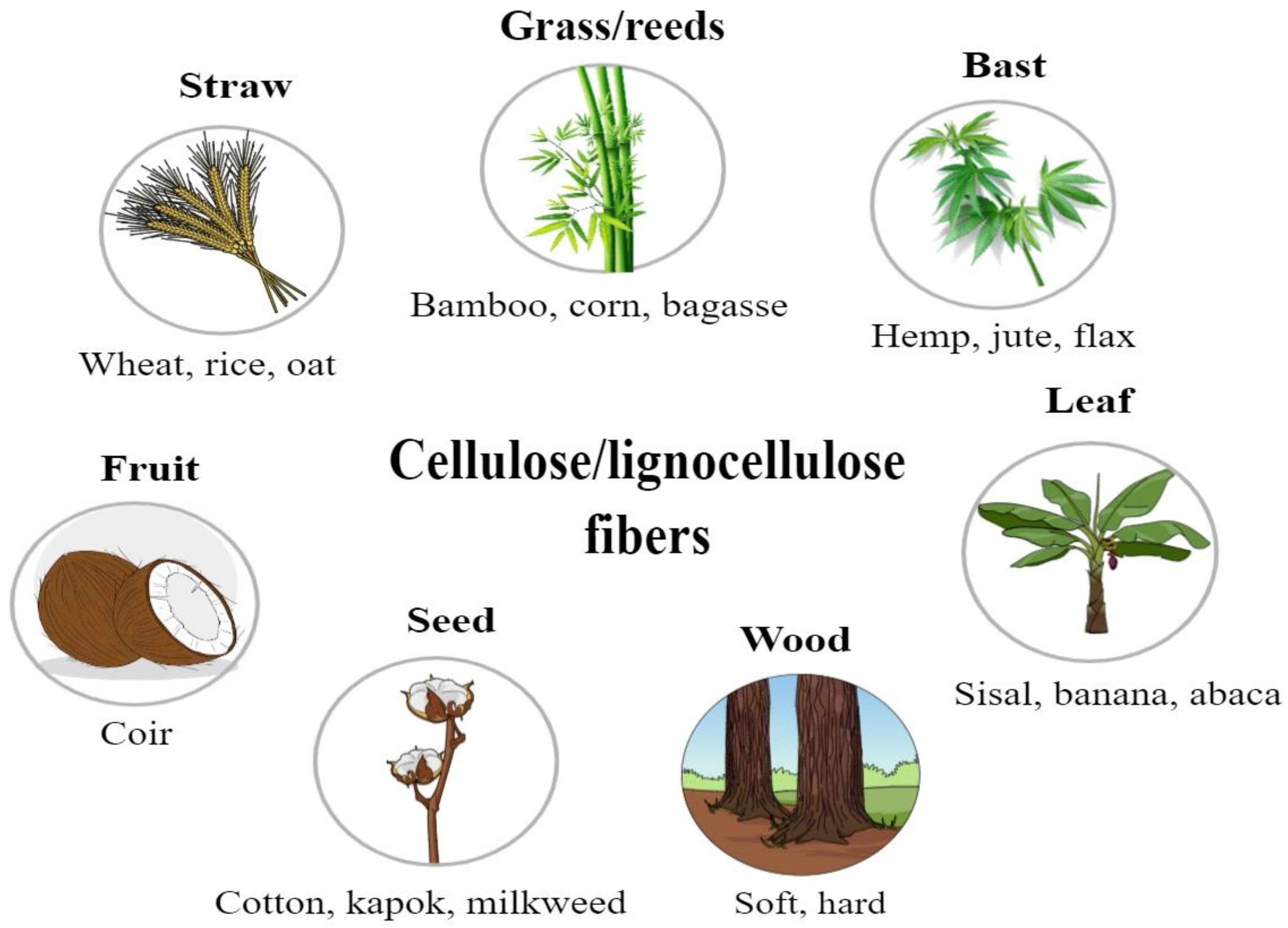 Bioengineering 10 00804 g002 Bioengineering 10 00804 g002