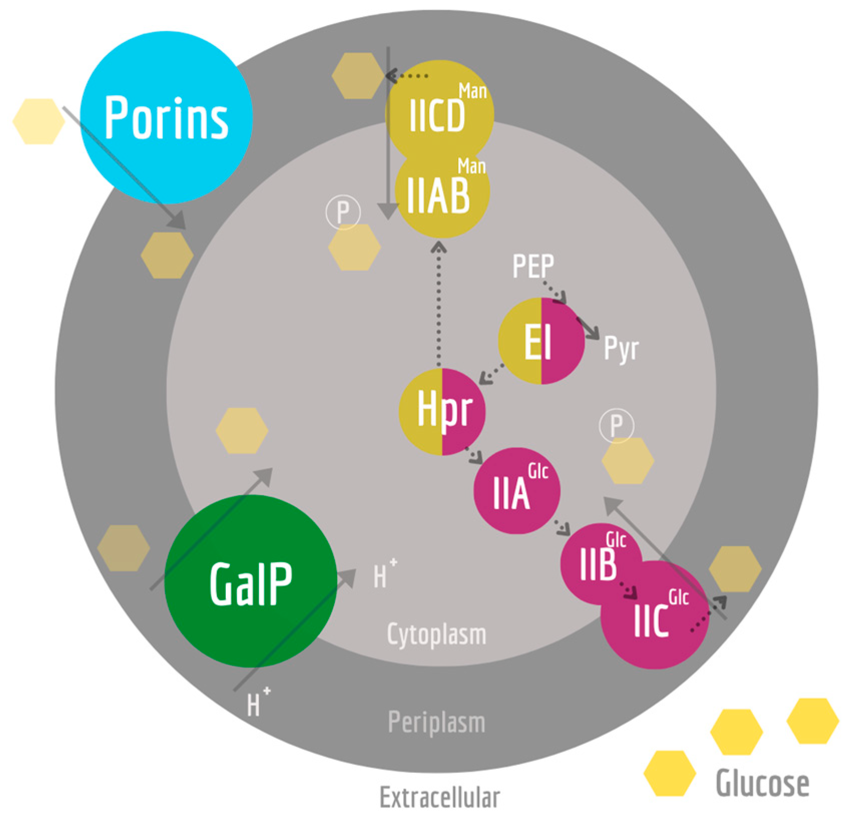 Bioengineering 10 00808 g001