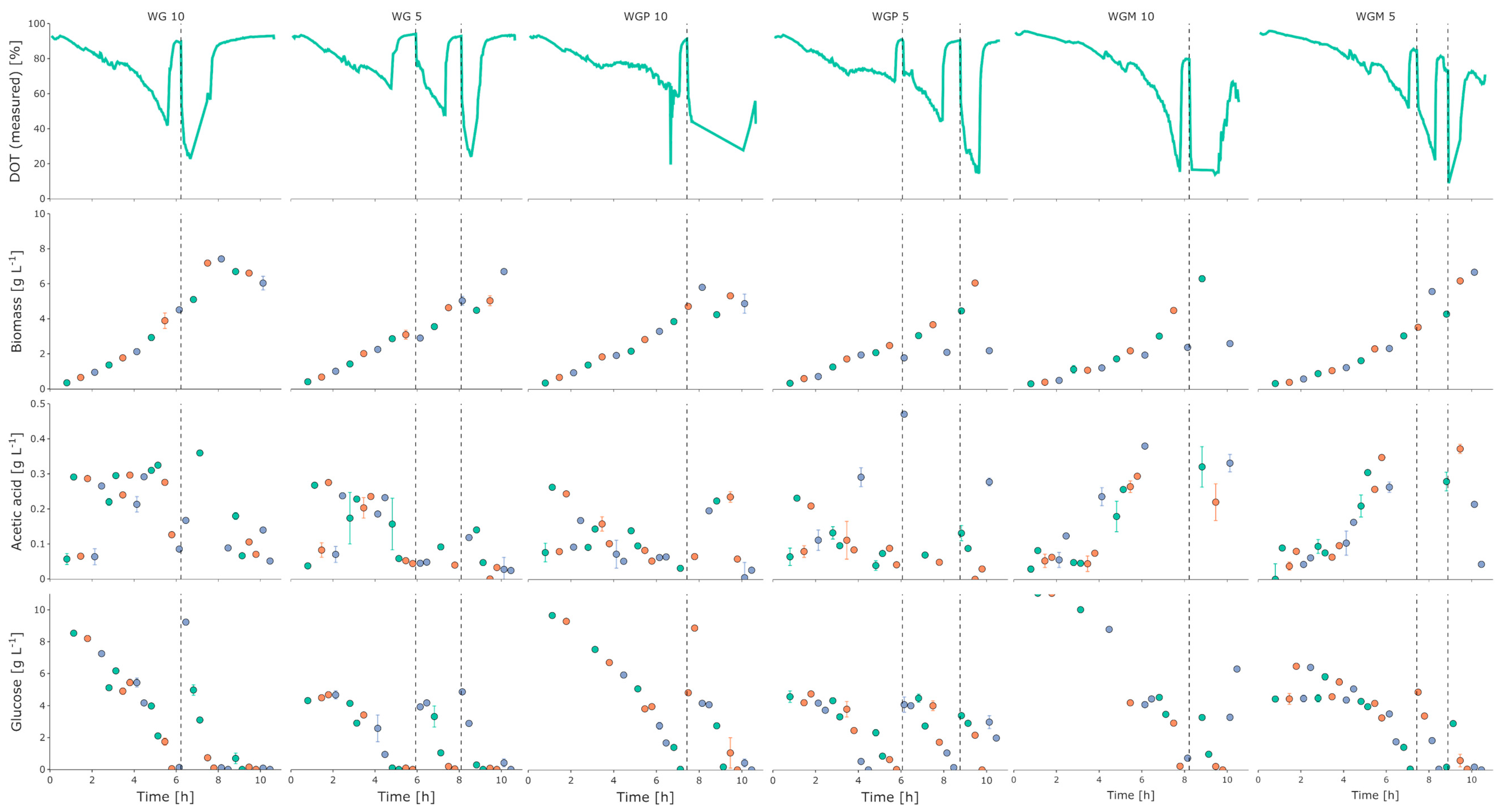 Bioengineering 10 00808 g004