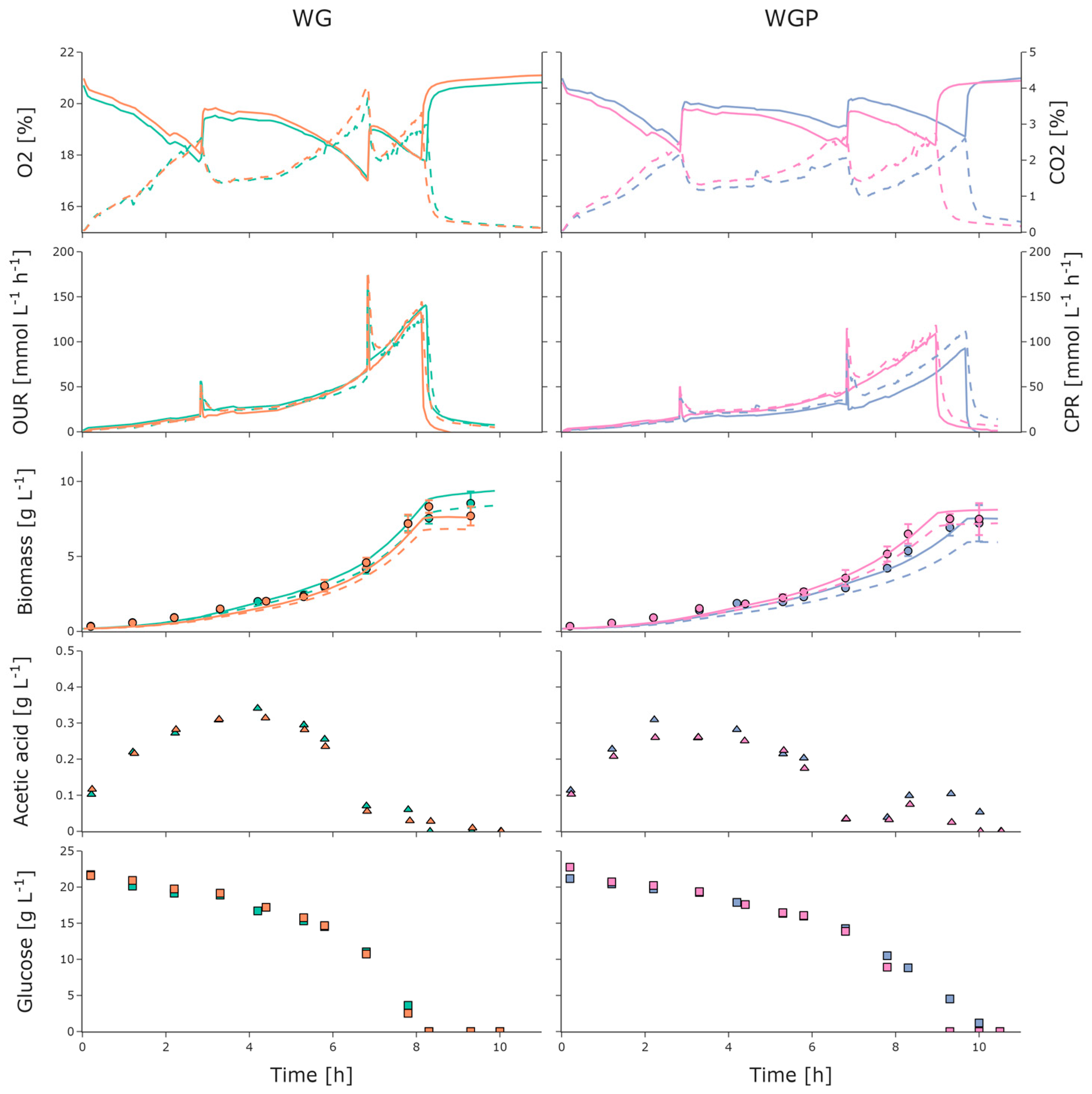 Bioengineering 10 00808 g005