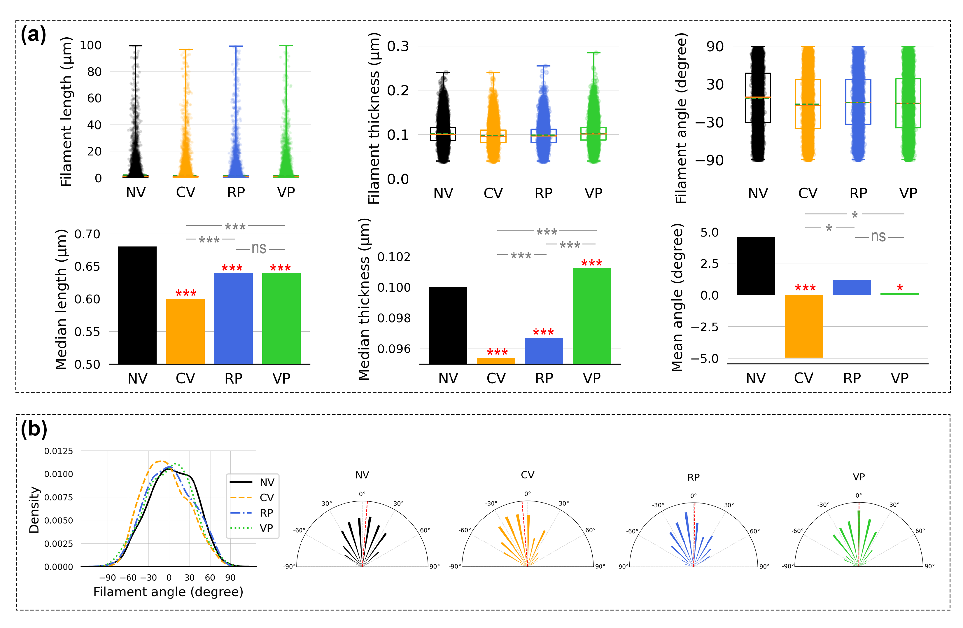 Bioengineering 10 00811 g014