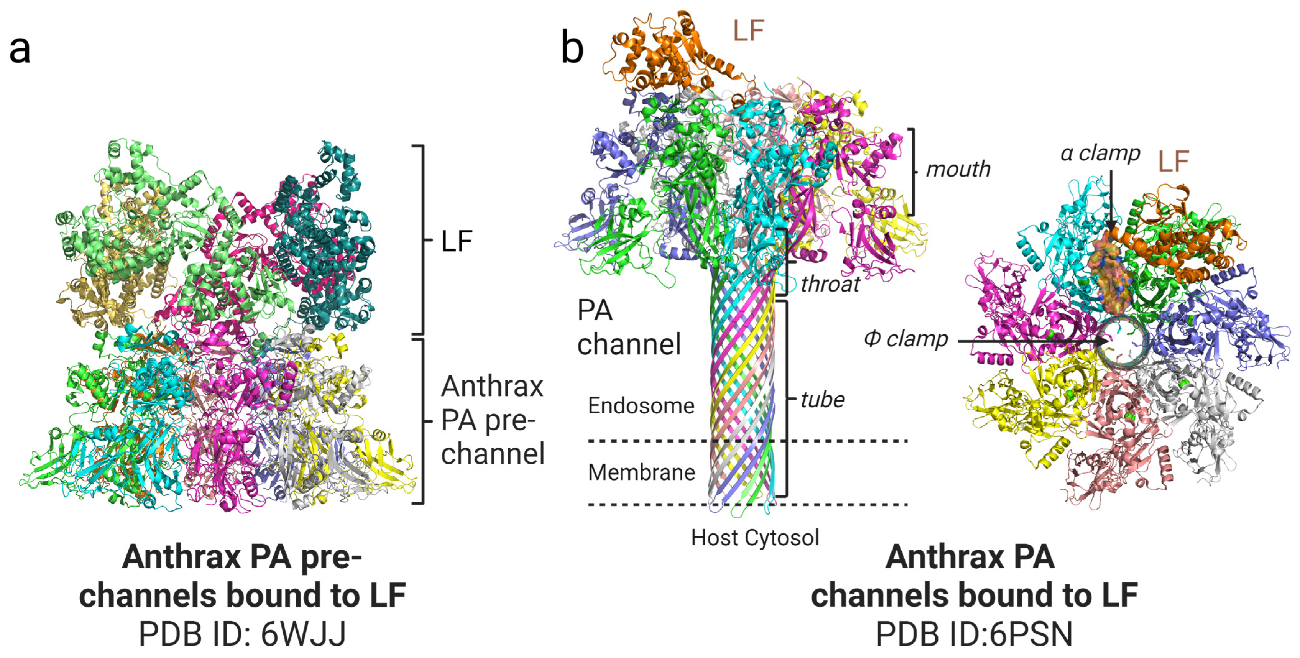 Bioengineering 10 00813 g002