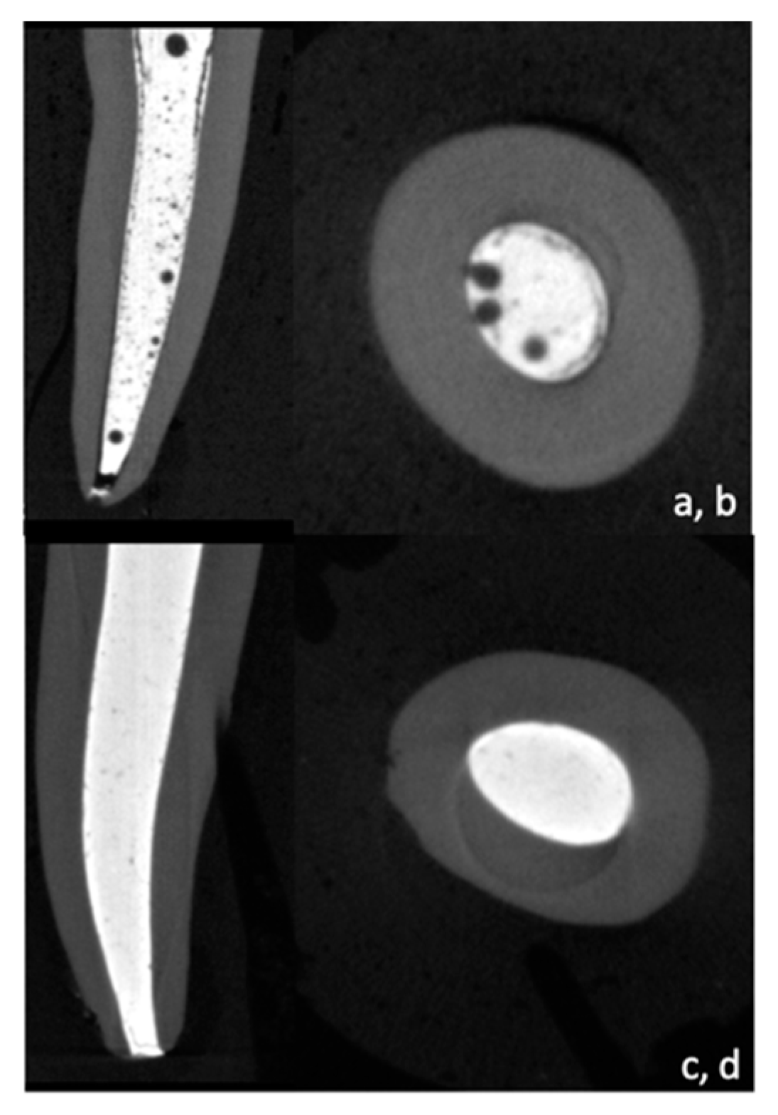 Bioengineering 10 00818 g001 Bioengineering 10 00818 g001