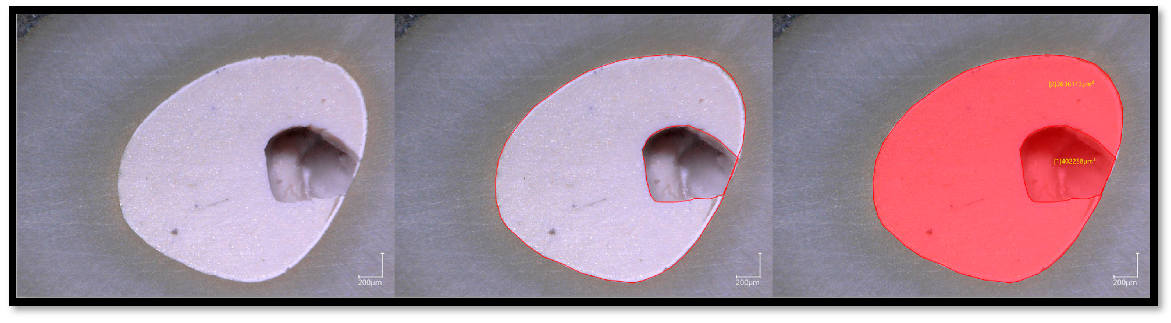 Bioengineering 10 00818 g002 Bioengineering 10 00818 g002