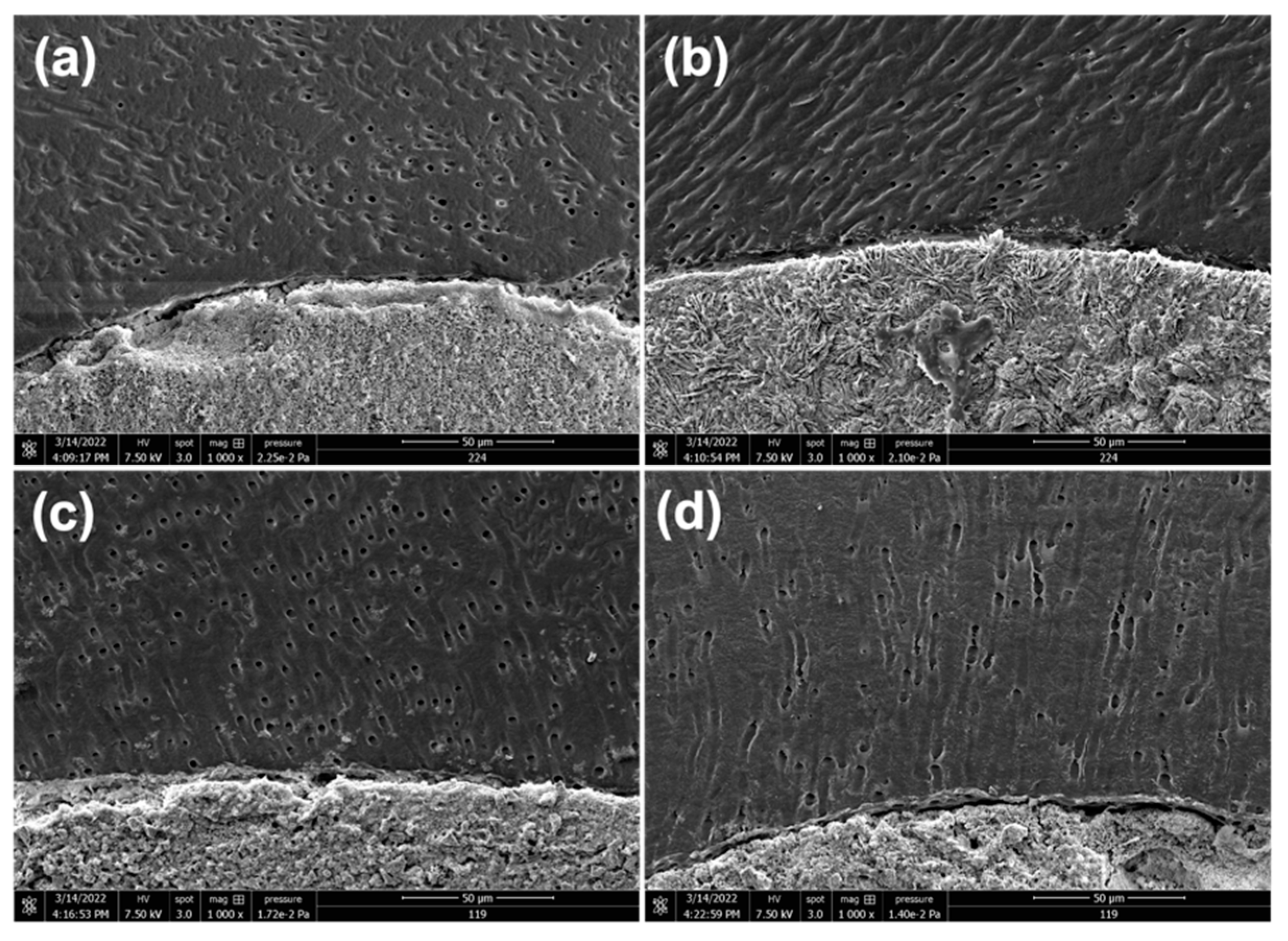 Bioengineering 10 00818 g005 Bioengineering 10 00818 g005