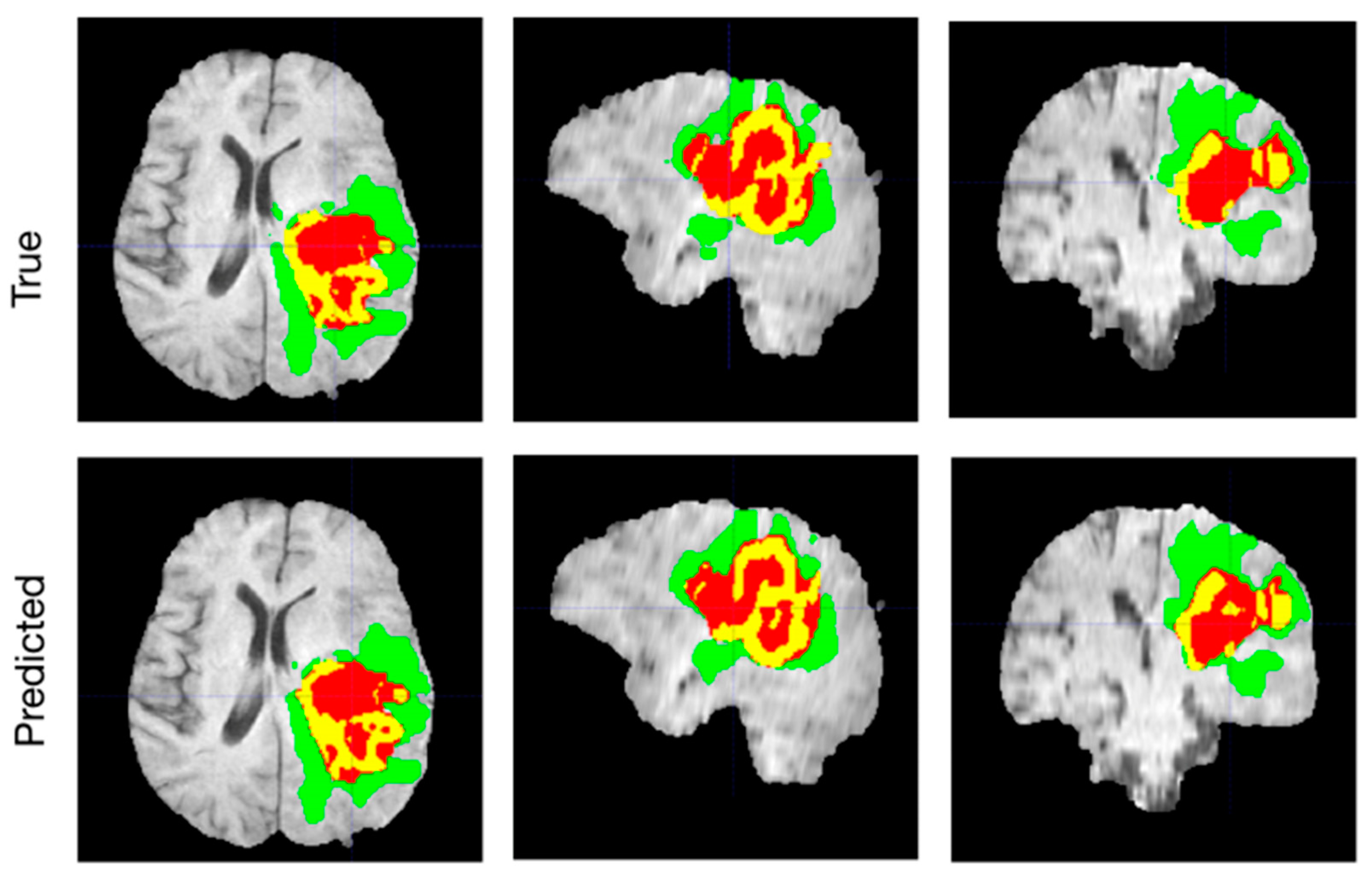 Bioengineering 10 00819 g002