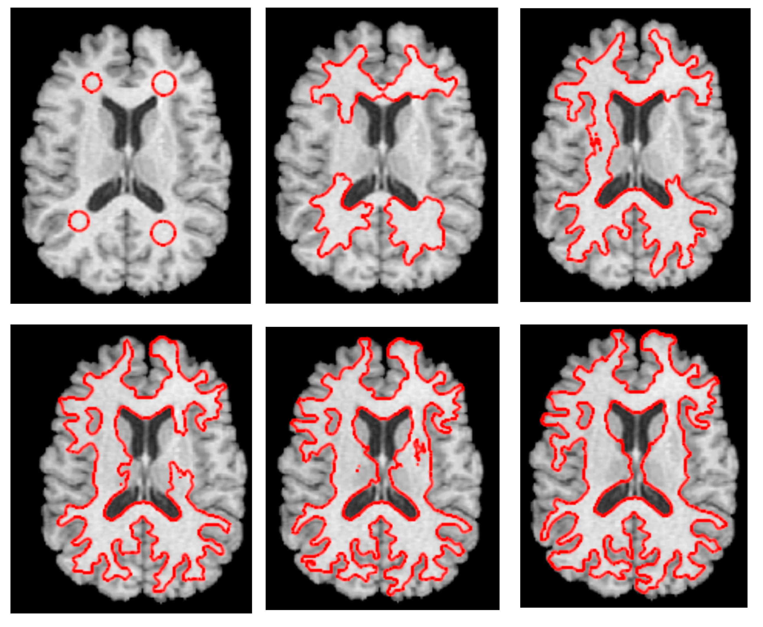 Bioengineering 10 00819 g003