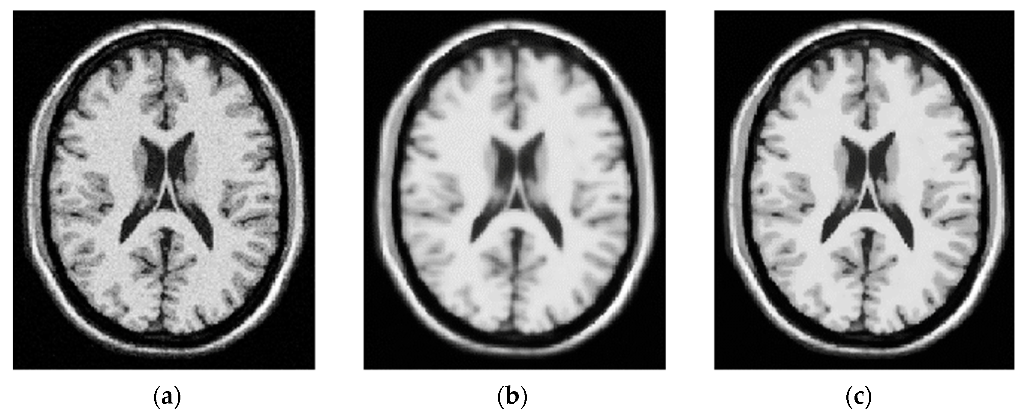 Bioengineering 10 00819 g006
