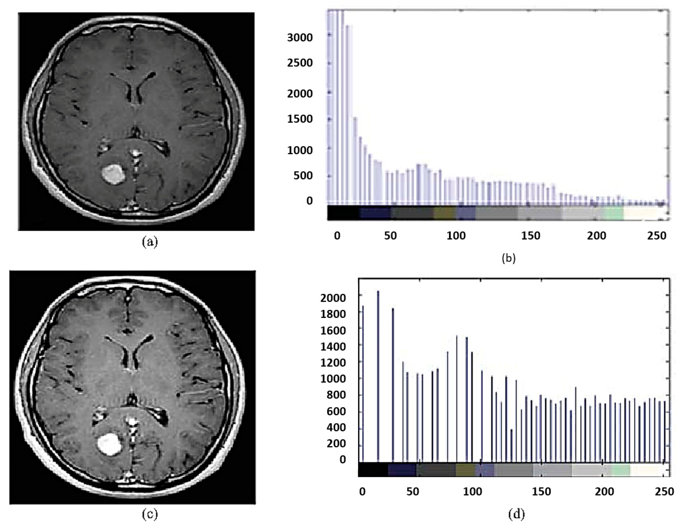 Bioengineering 10 00819 g007