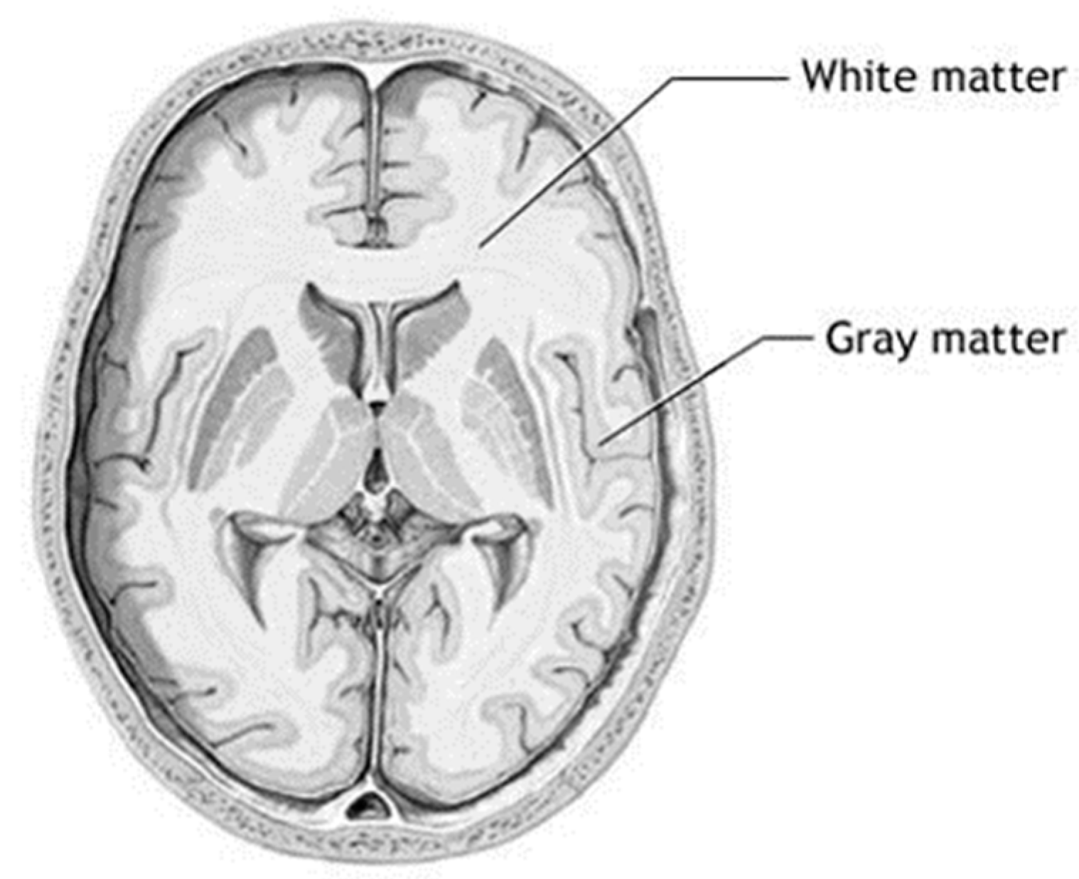 Bioengineering 10 00819 g010