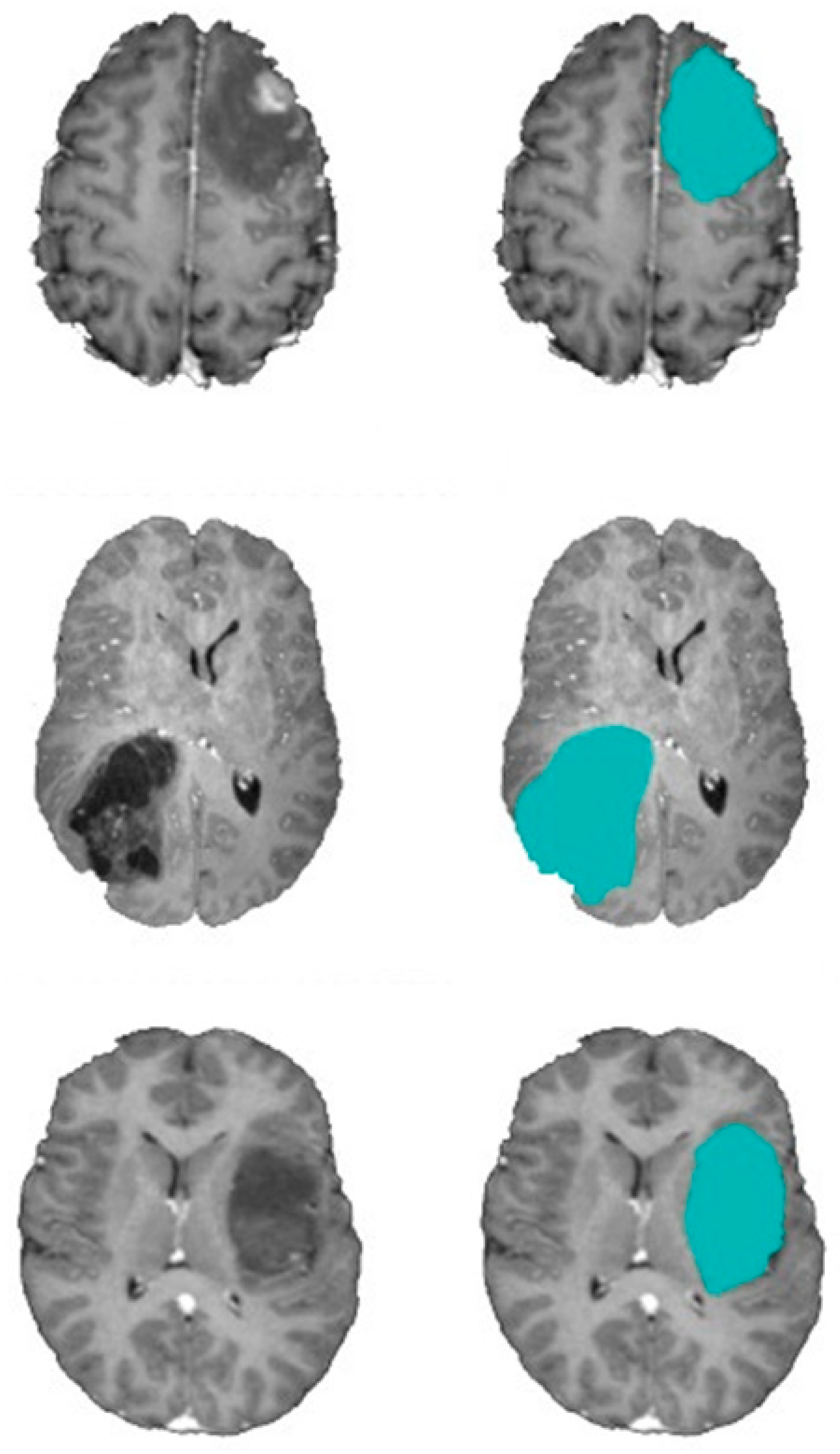 Bioengineering 10 00819 g019
