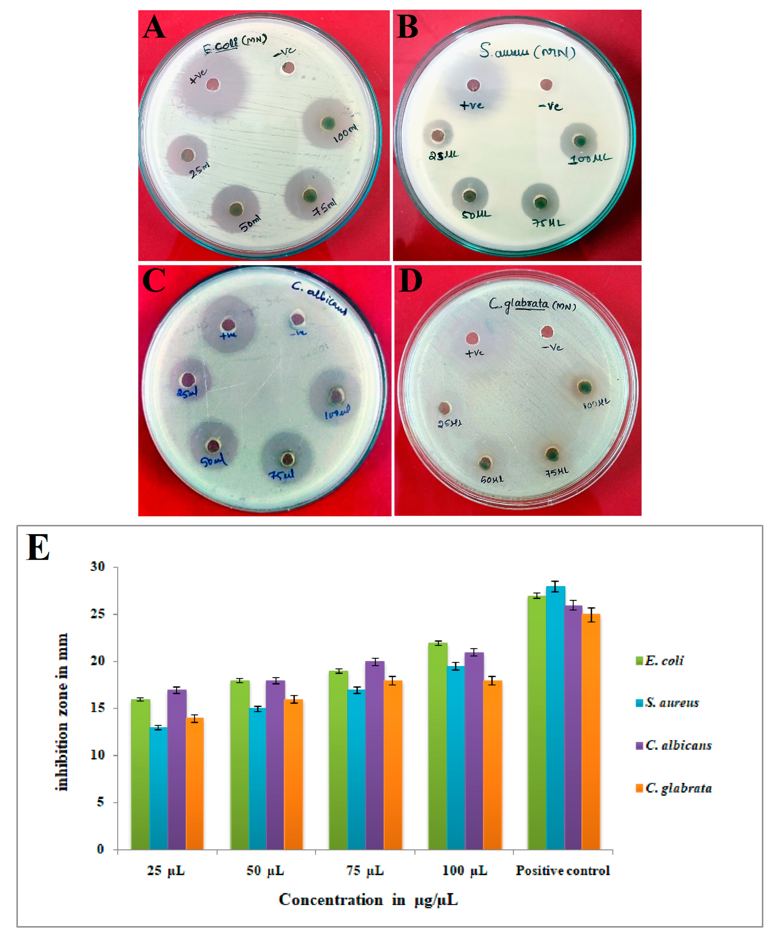Bioengineering 10 00821 g009 Bioengineering 10 00821 g009