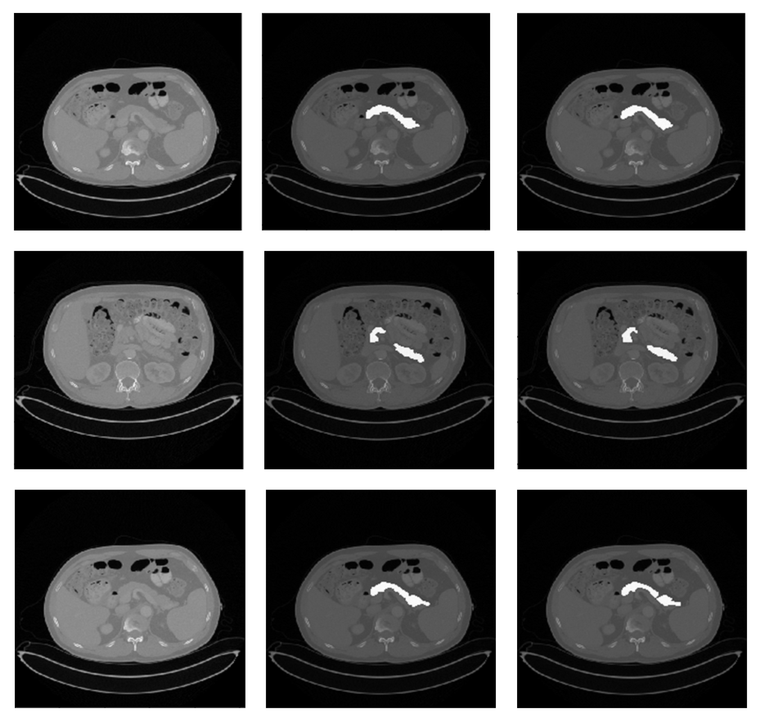 Bioengineering 10 00828 g002