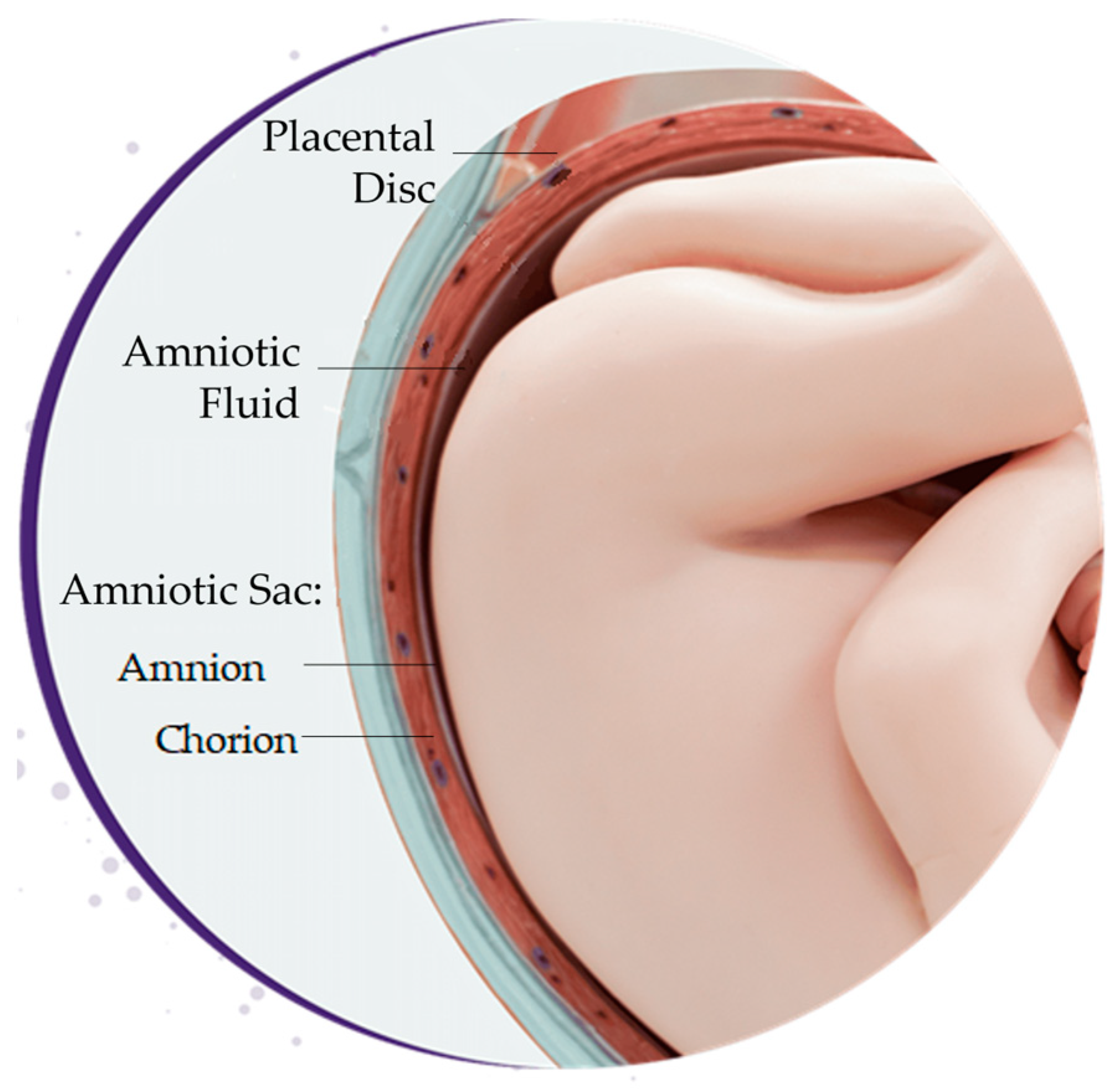 Bioengineering 10 00829 g003