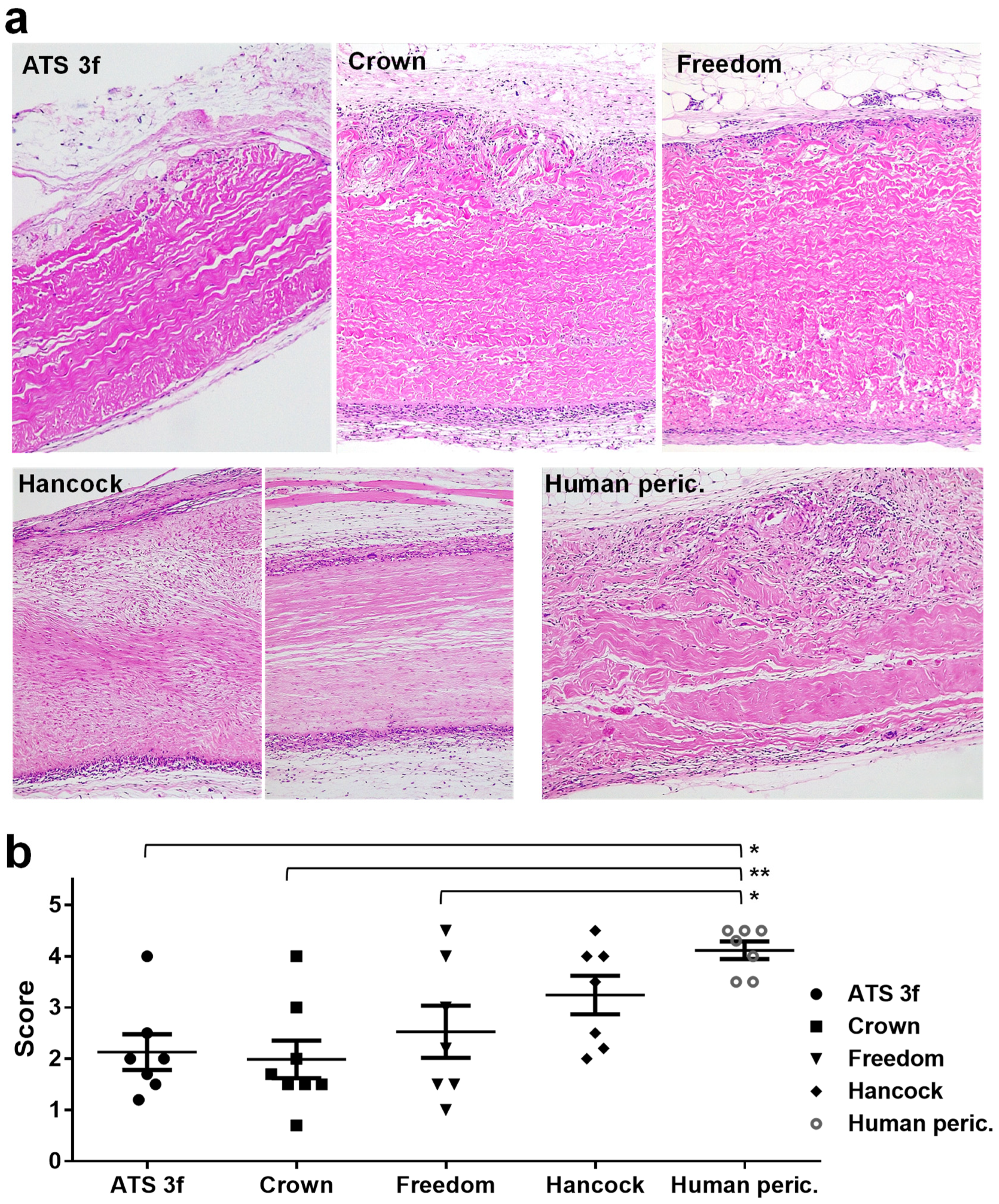 Bioengineering 10 00833 g003