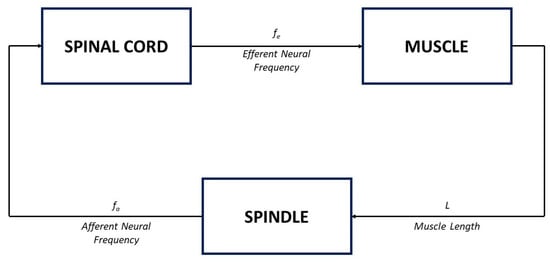 Bioengineering 10 00835 g008