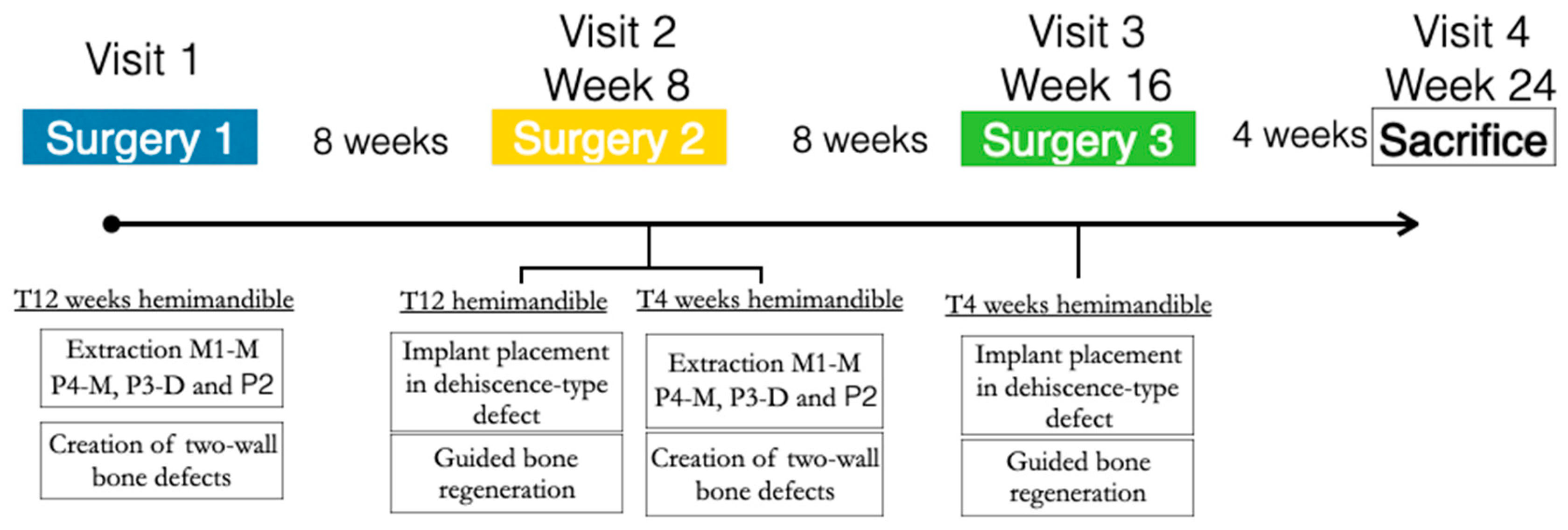 Bioengineering 10 00841 g001