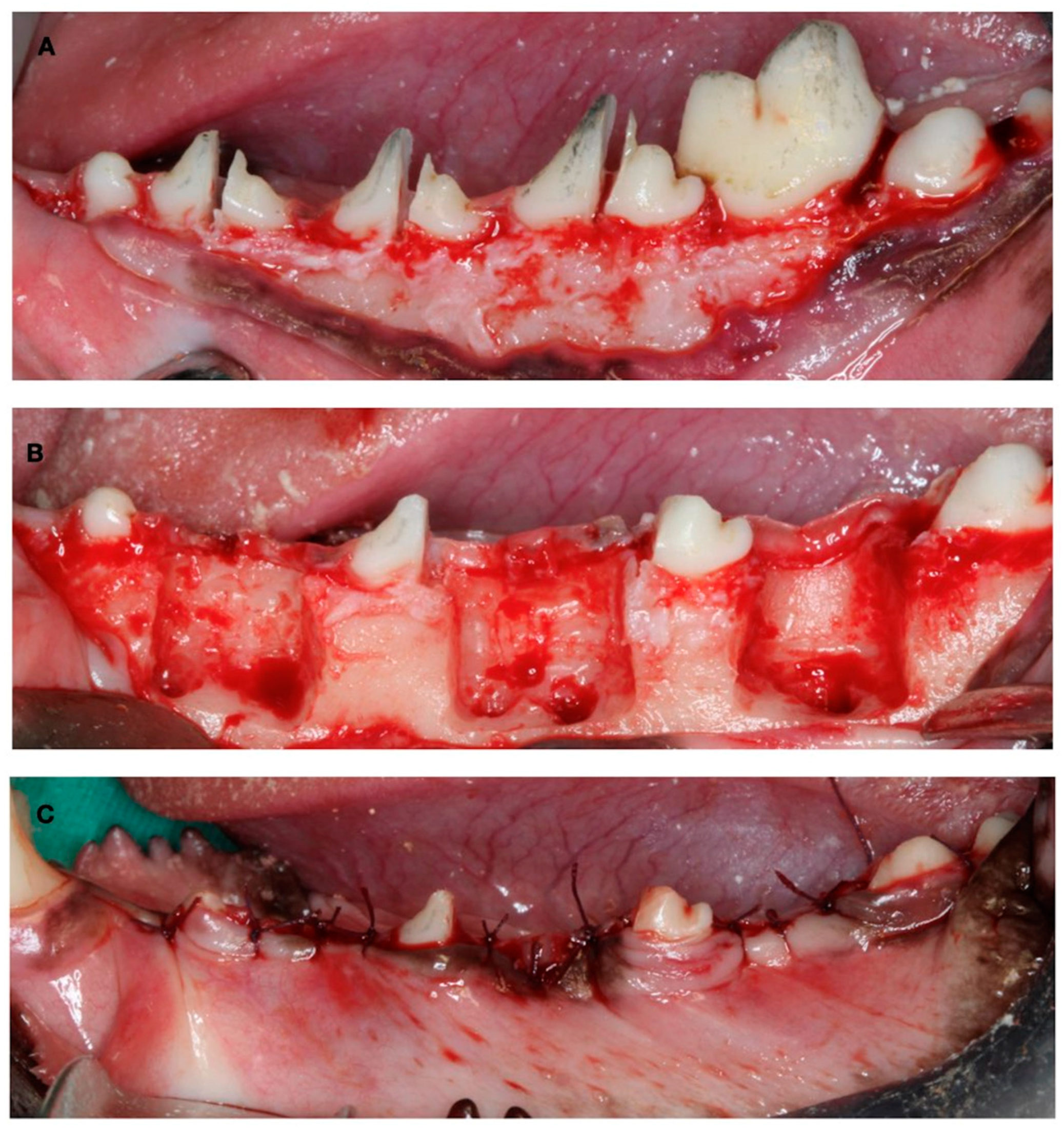 Bioengineering 10 00841 g002