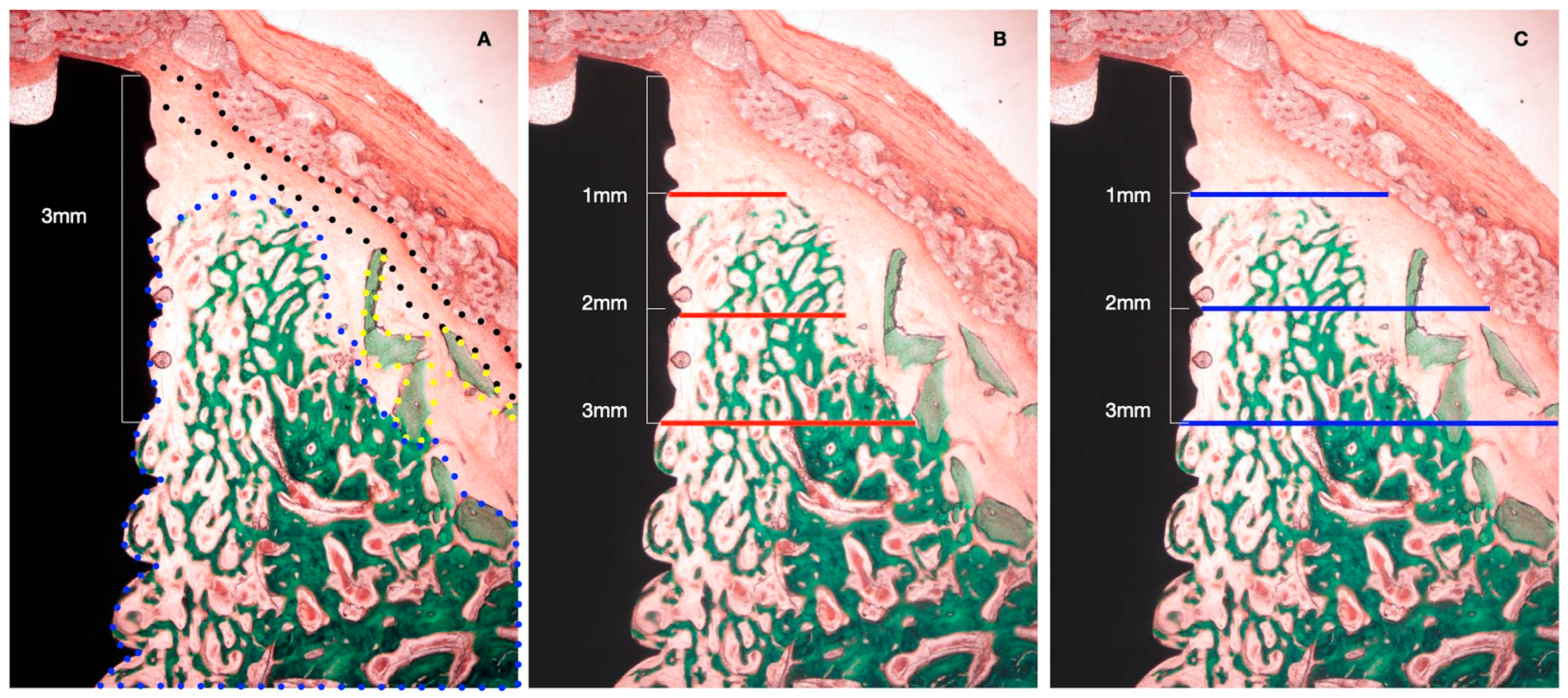 Bioengineering 10 00841 g004