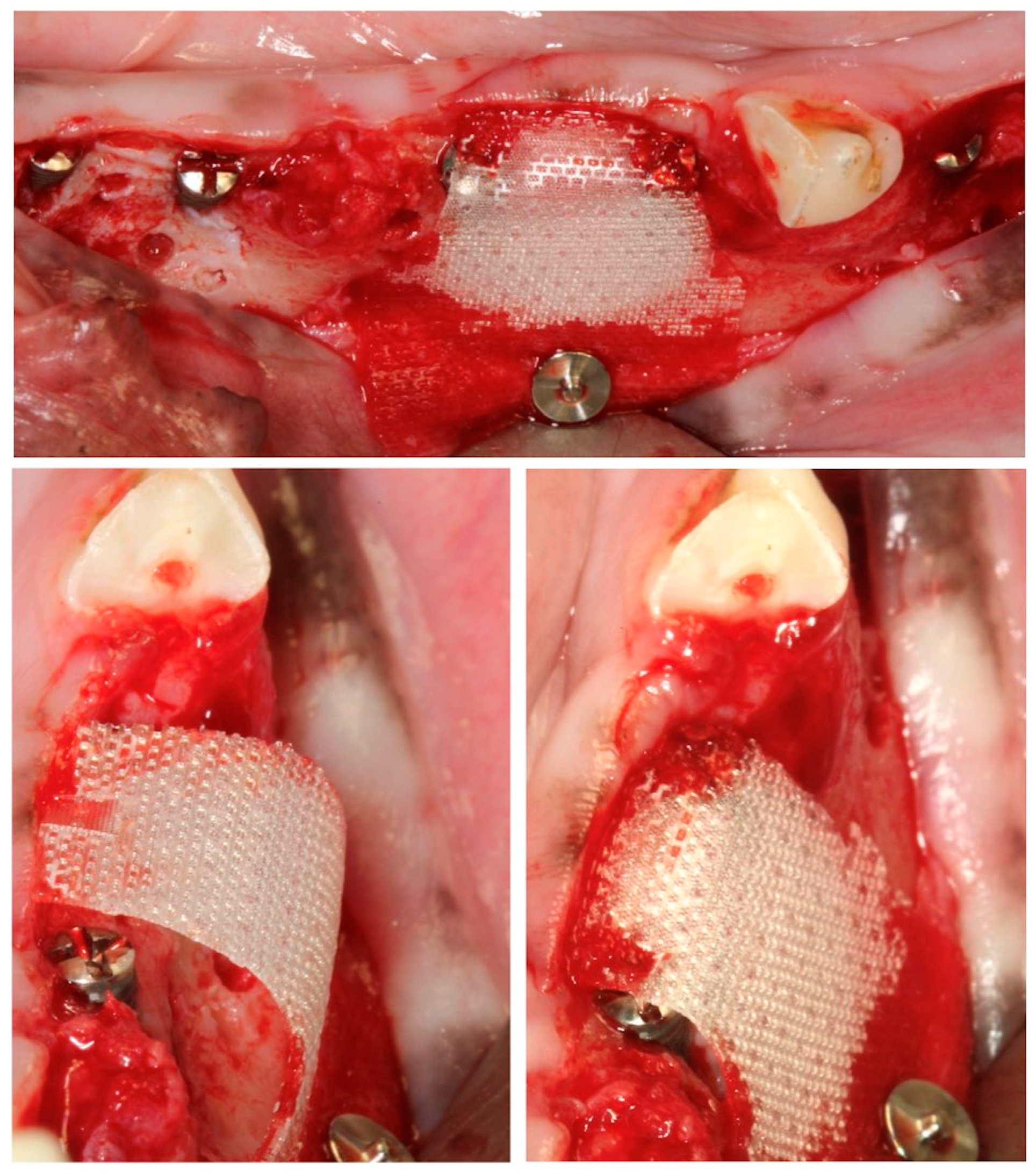 Bioengineering 10 00841 g005